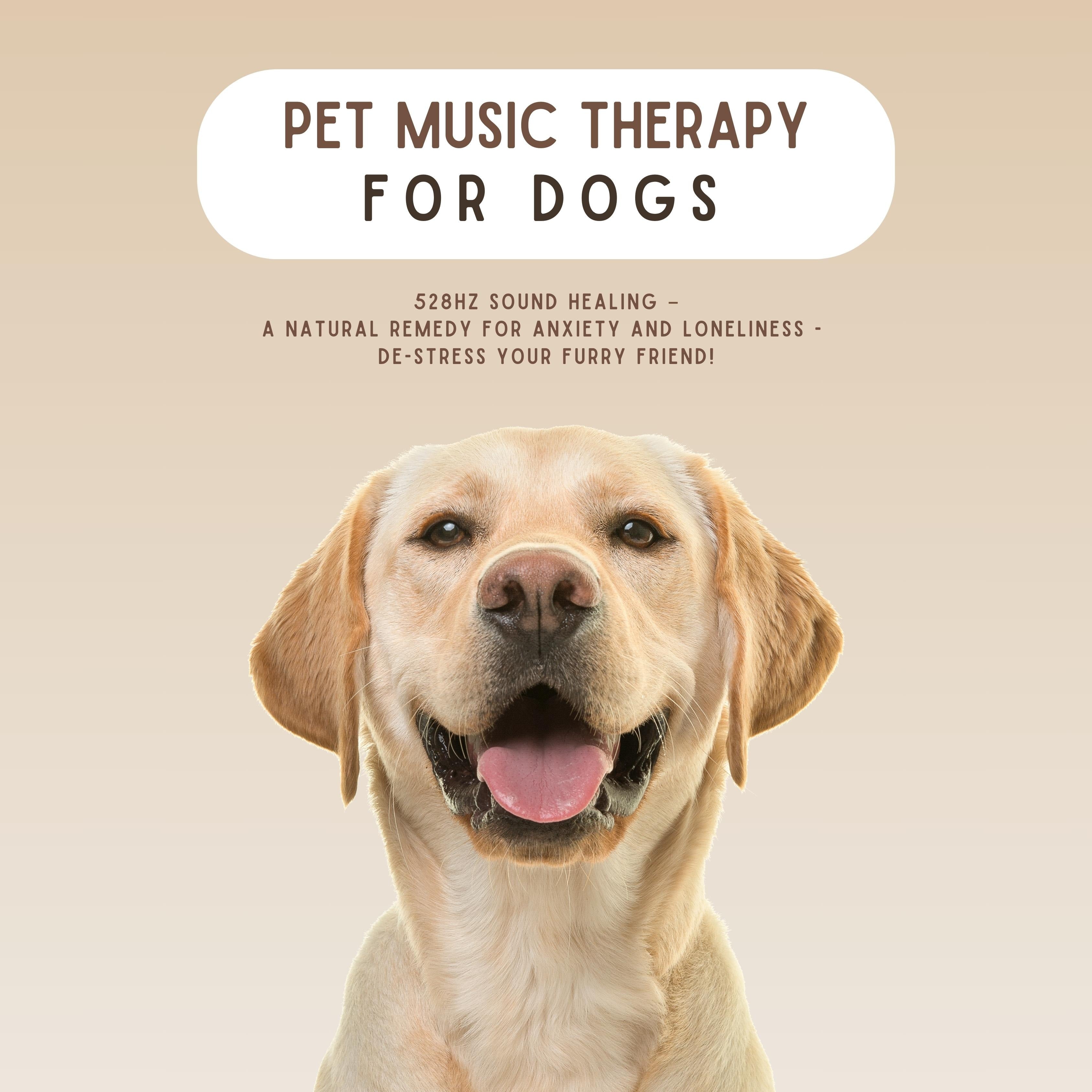 PET MUSIC THERAPY for Dogs - 528Hz Sound Healing