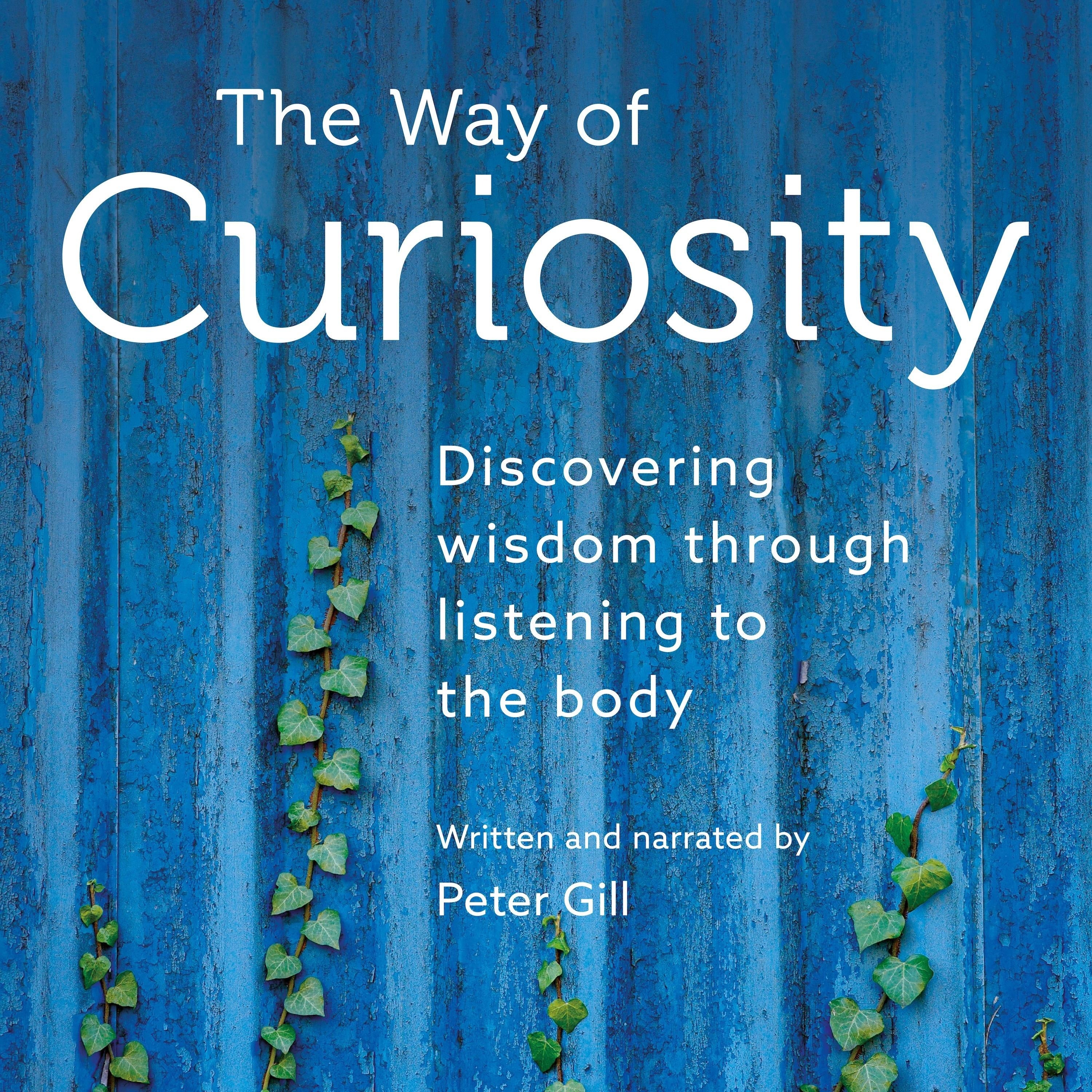 The Way of Curiosity