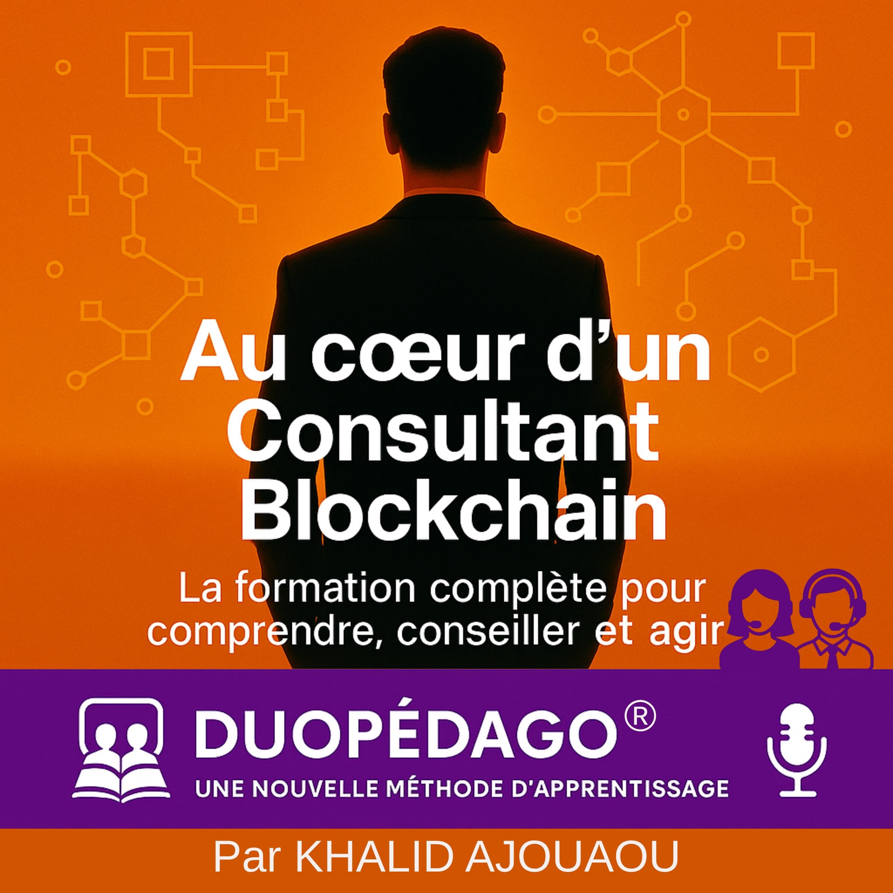 Au Coeur d'un Consultant Blockchain