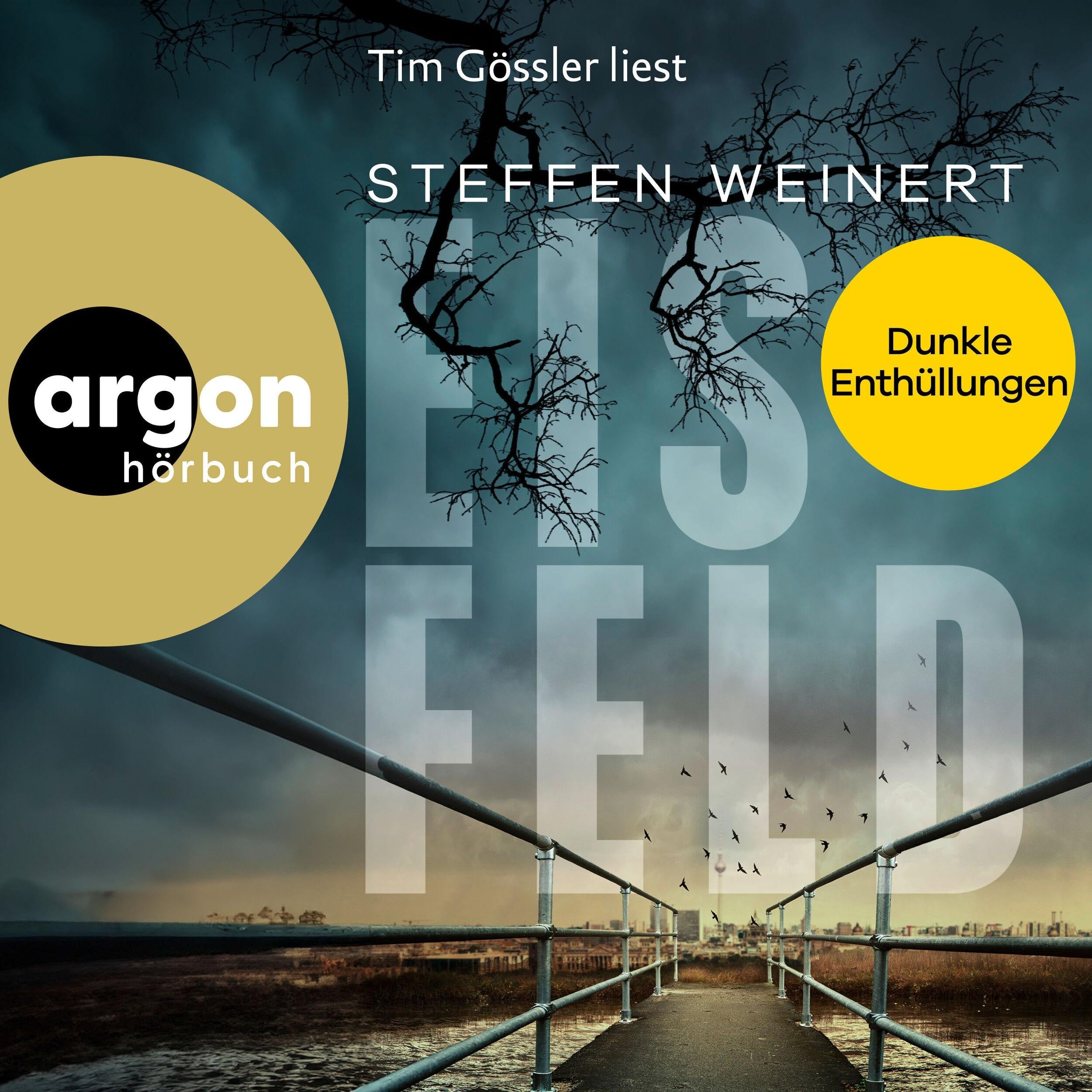 Eisfeld - Dunkle Enthüllungen - Mara Eisfeld ermittelt, Band 2 (Ungekürzte Lesung)