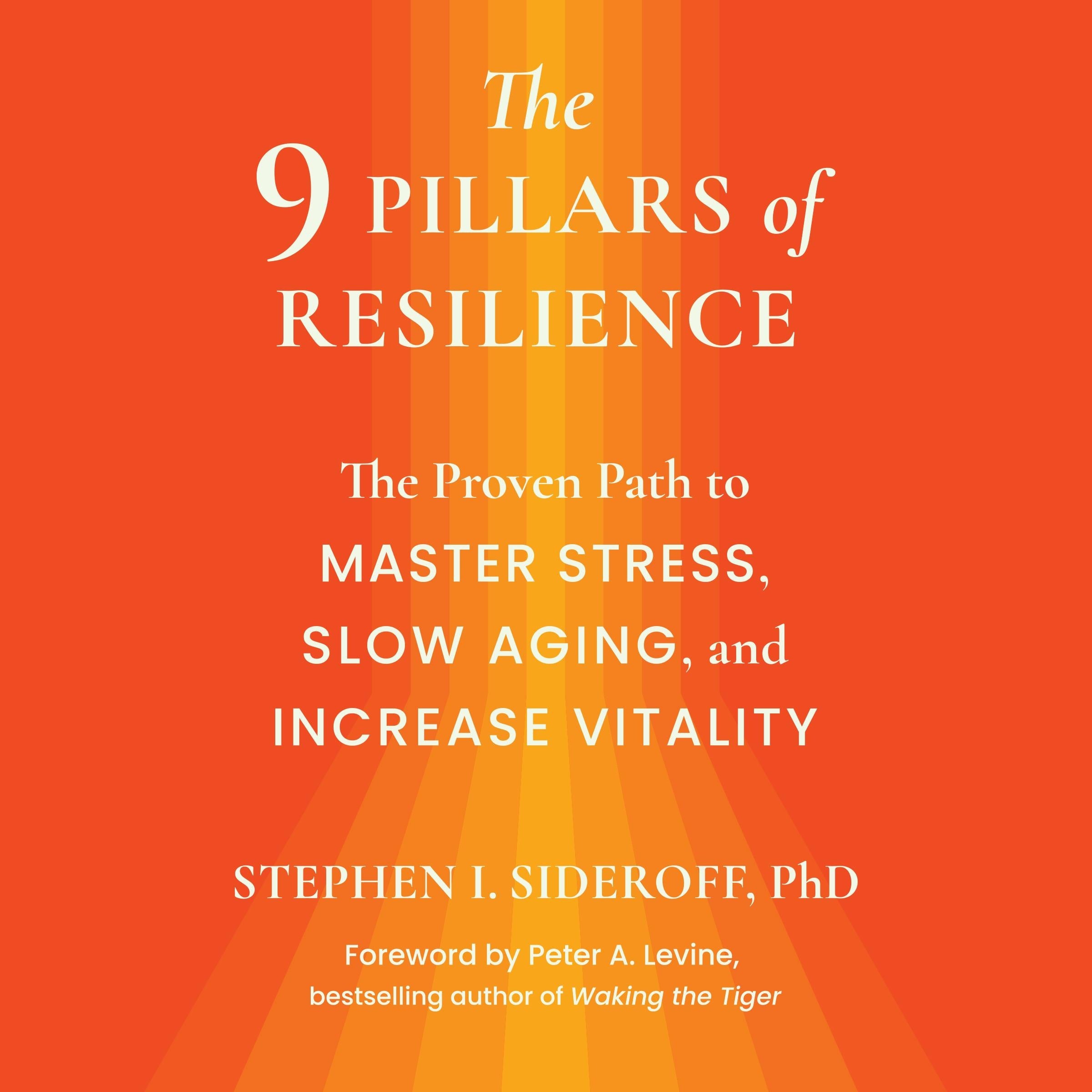 The 9 Pillars of Resilience