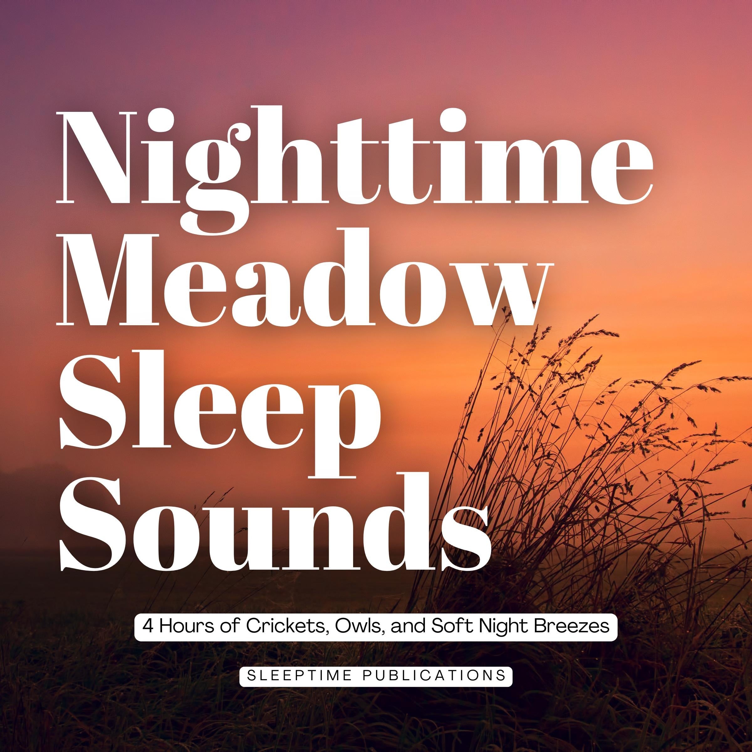 Nighttime Meadow Sleep Sounds