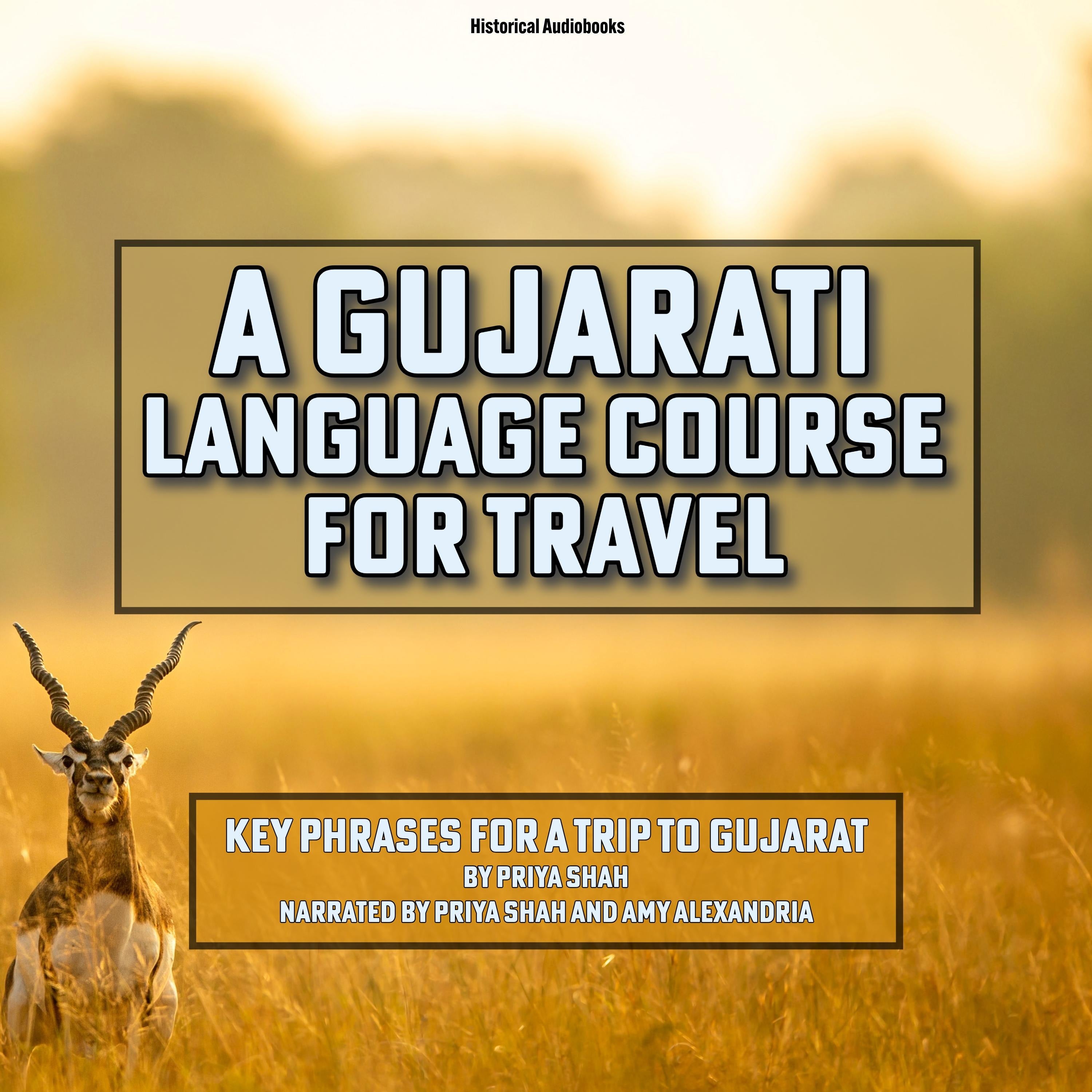 A Gujarati Language Course for Travel
