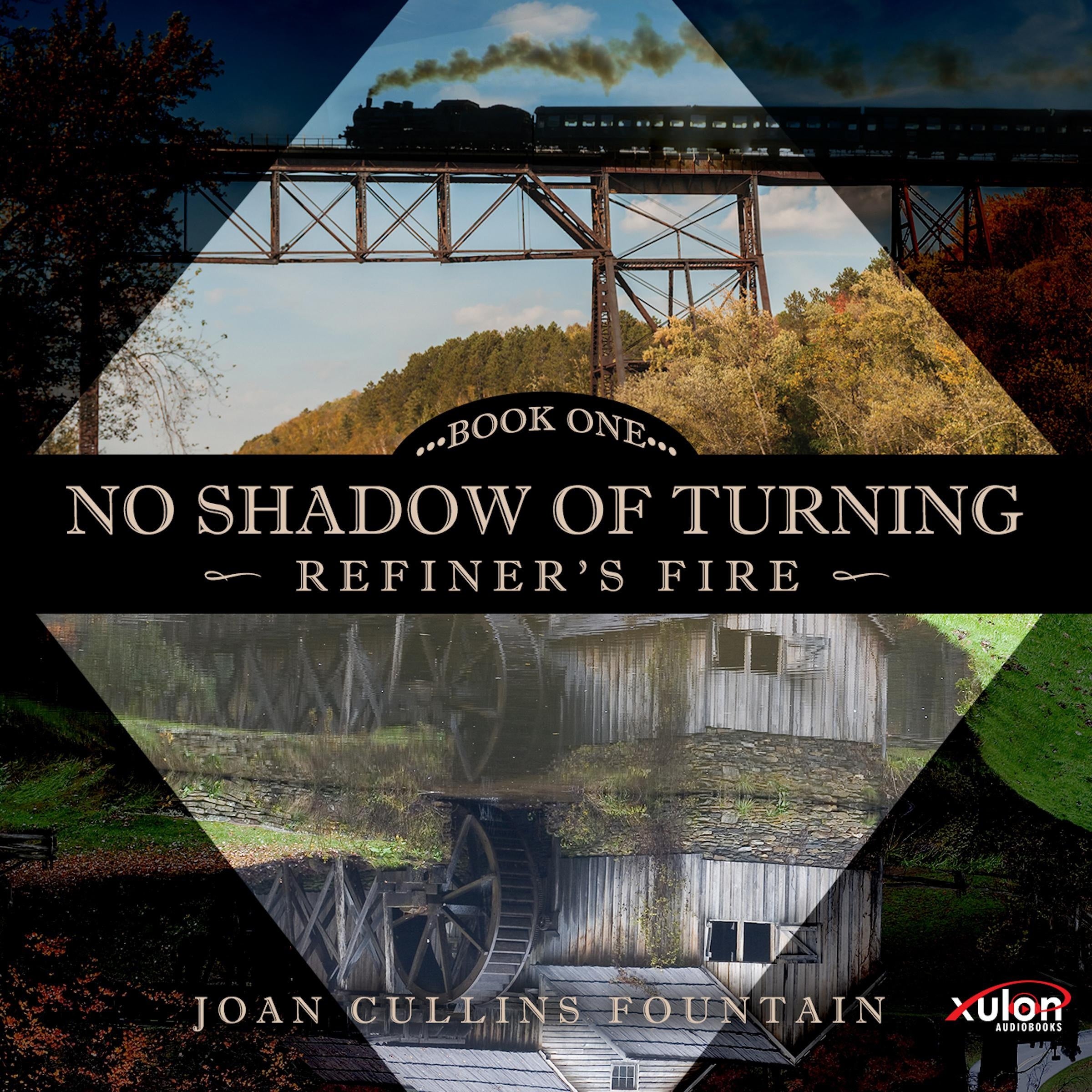 No Shadow Of Turning: Book One