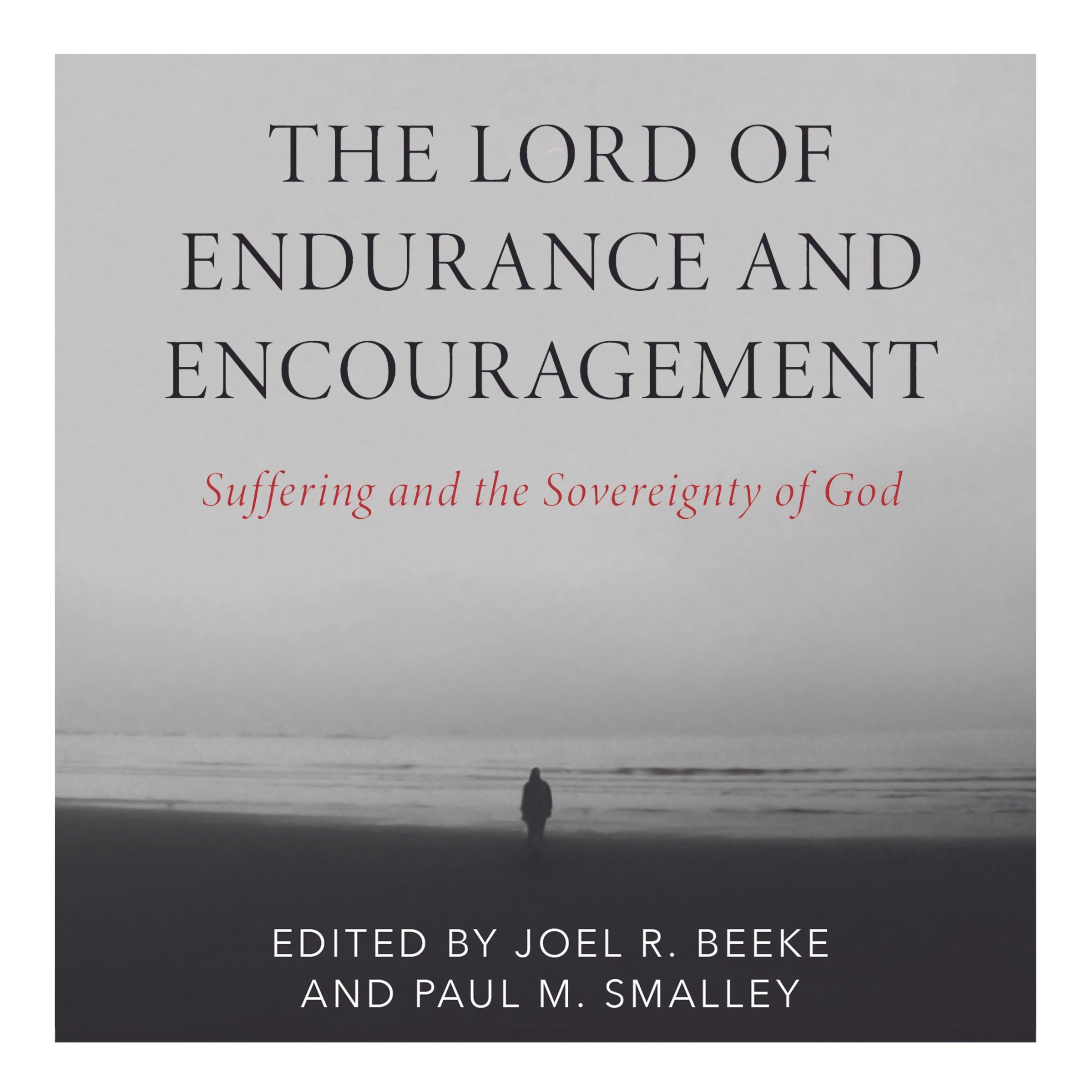The Lord of Endurance and Encouragement