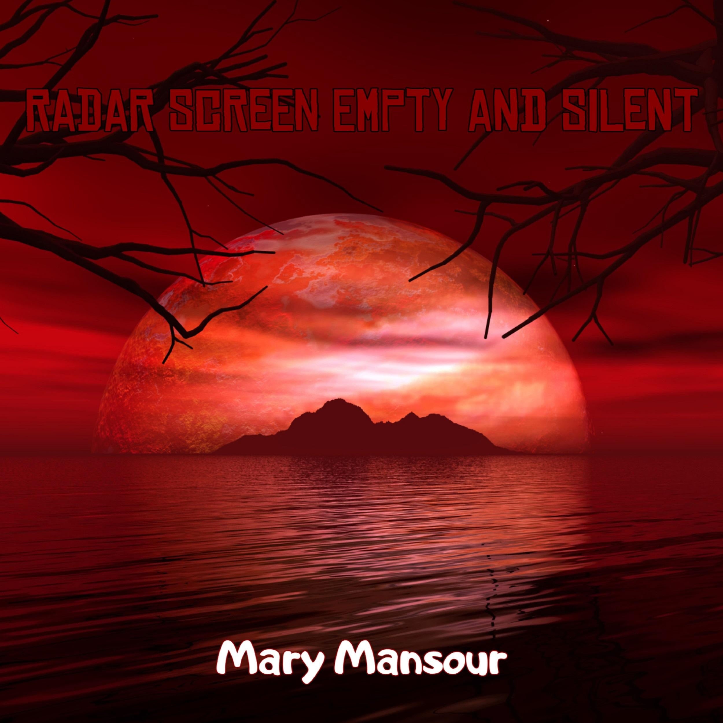 Radar Screen Empty and Silent