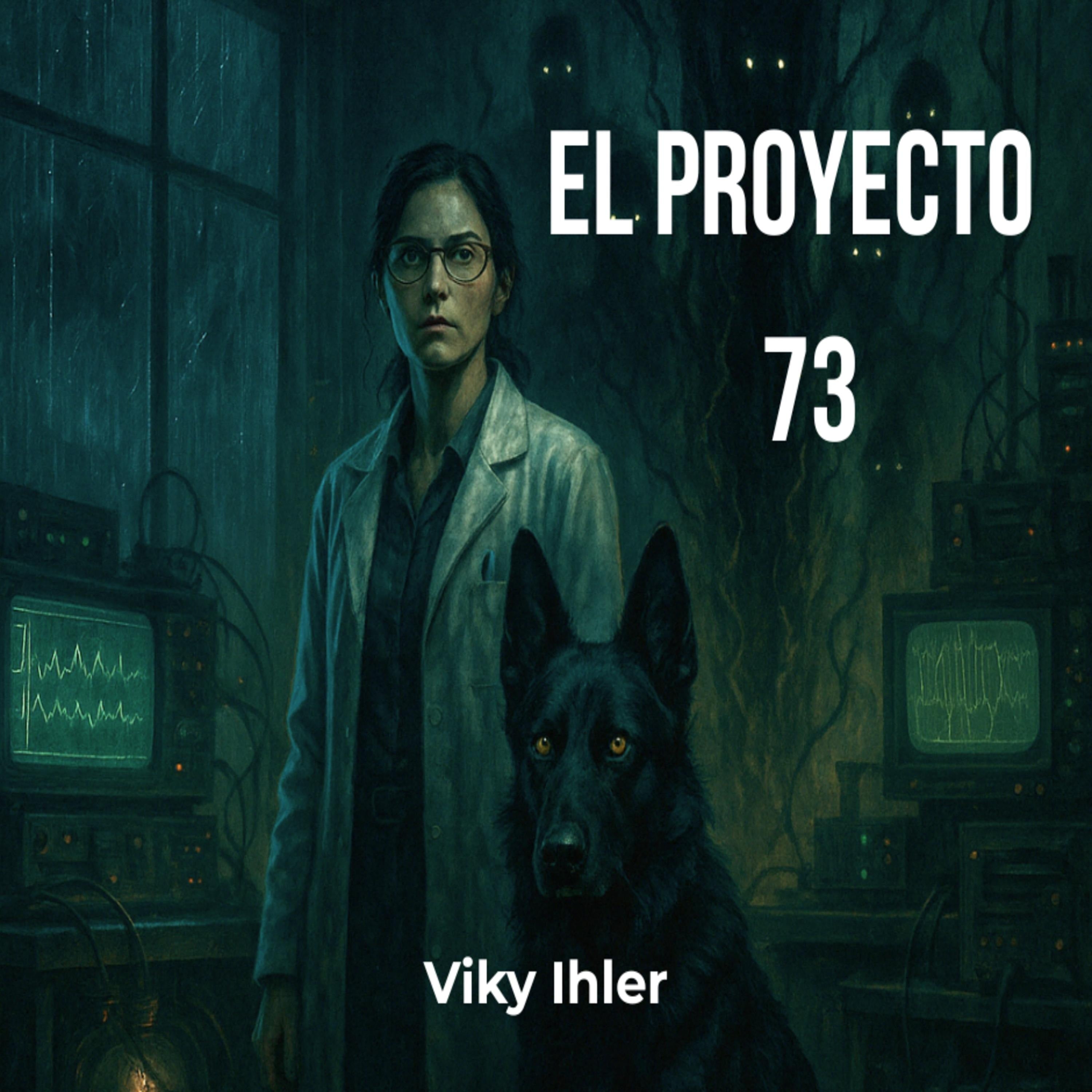El Proyecto 73