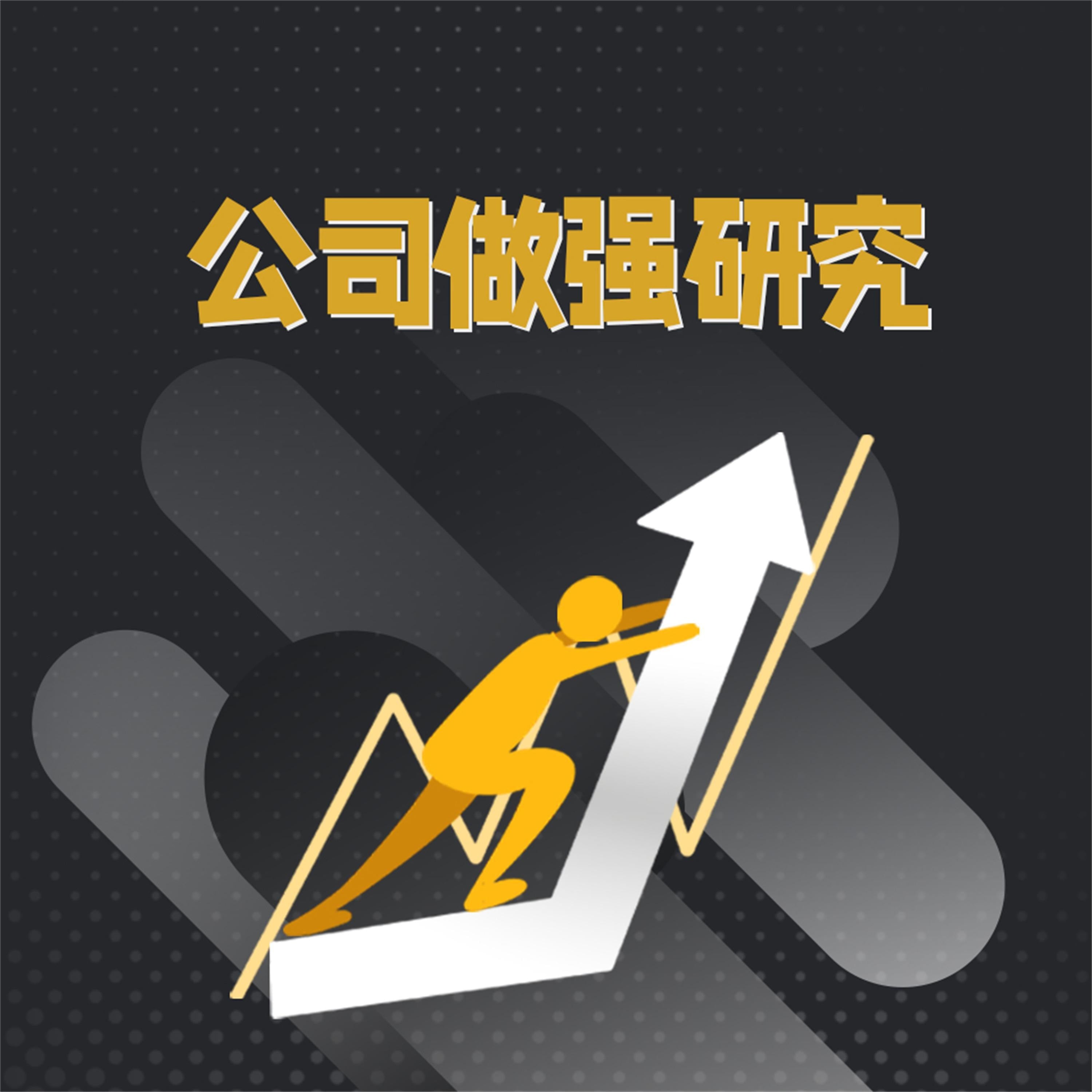 公司做强研究
