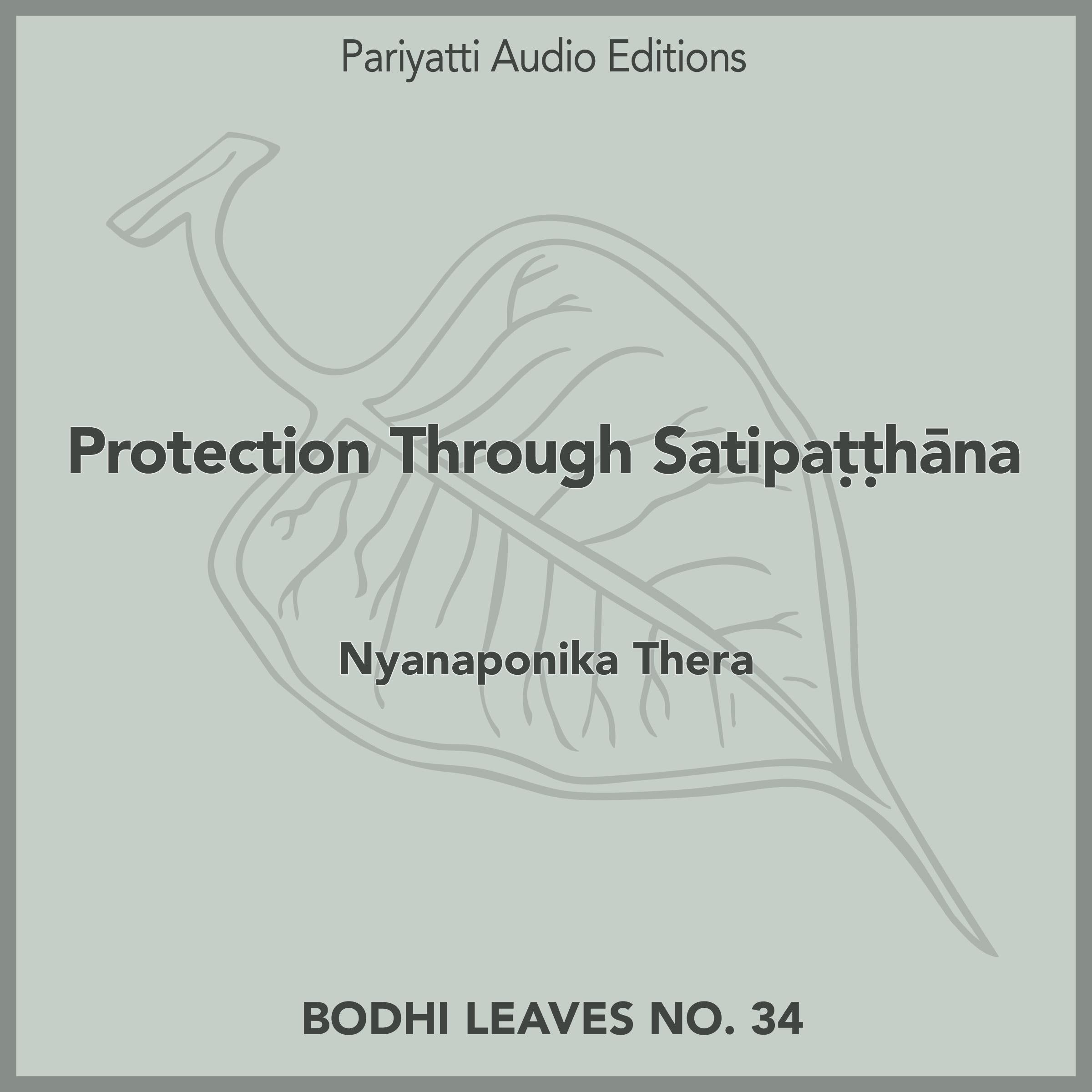 Protection Through Satipaṭṭhāna