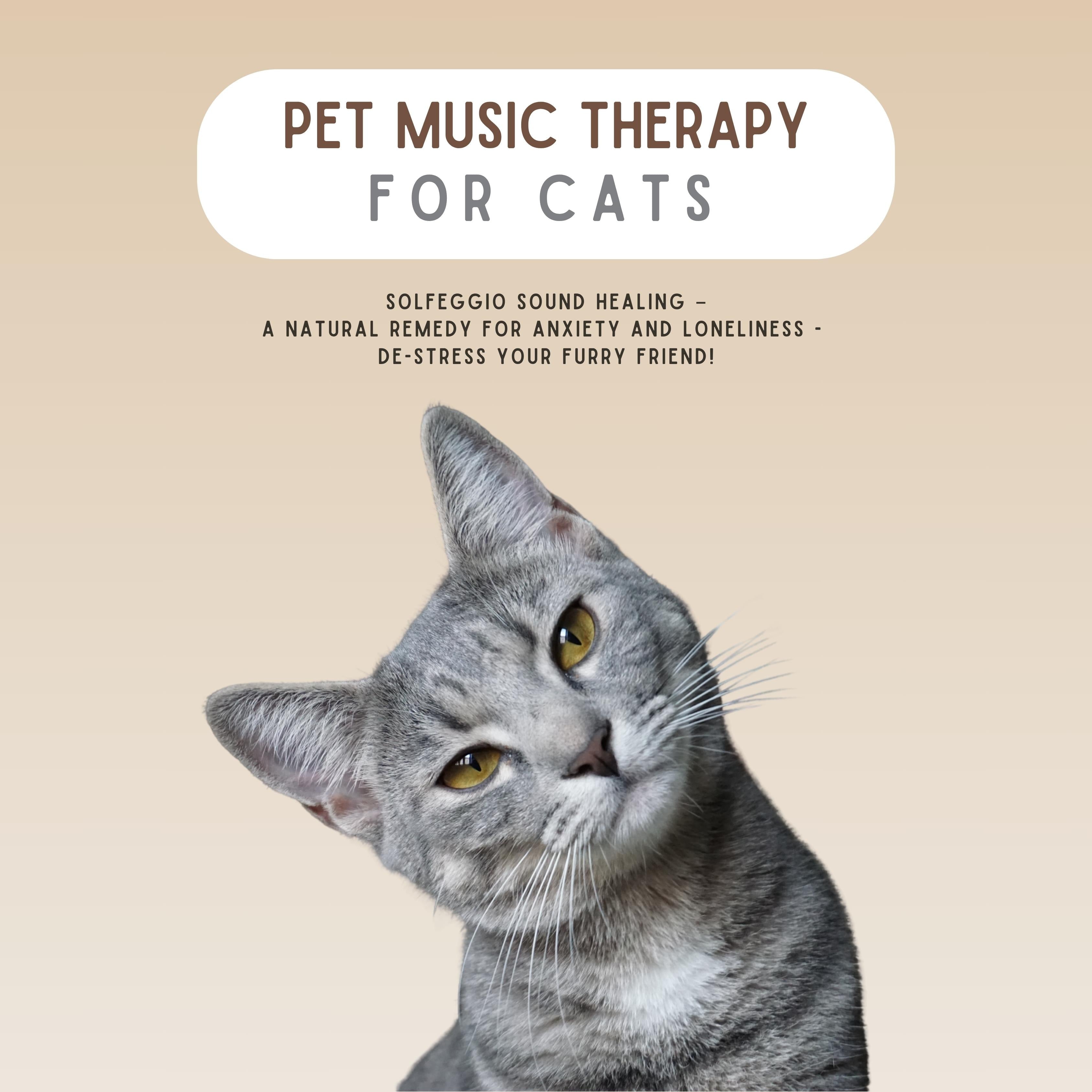 PET MUSIC THERAPY for Cats - Solfeggio Sound Healing