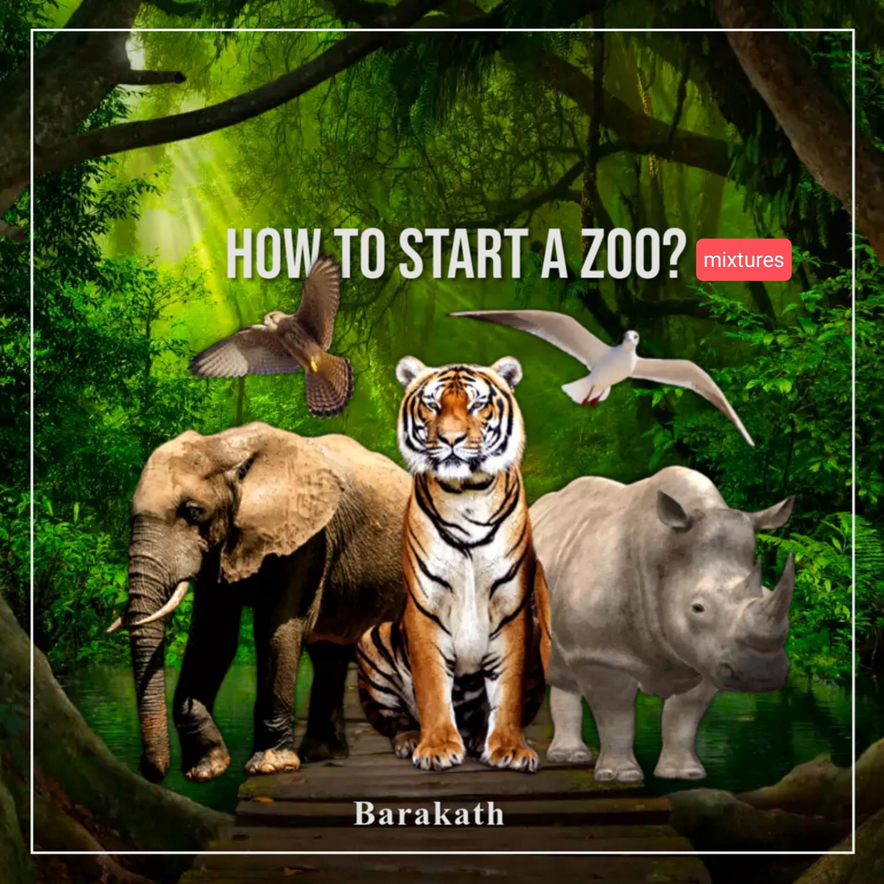 HOW TO START A ZOO? Mixtures