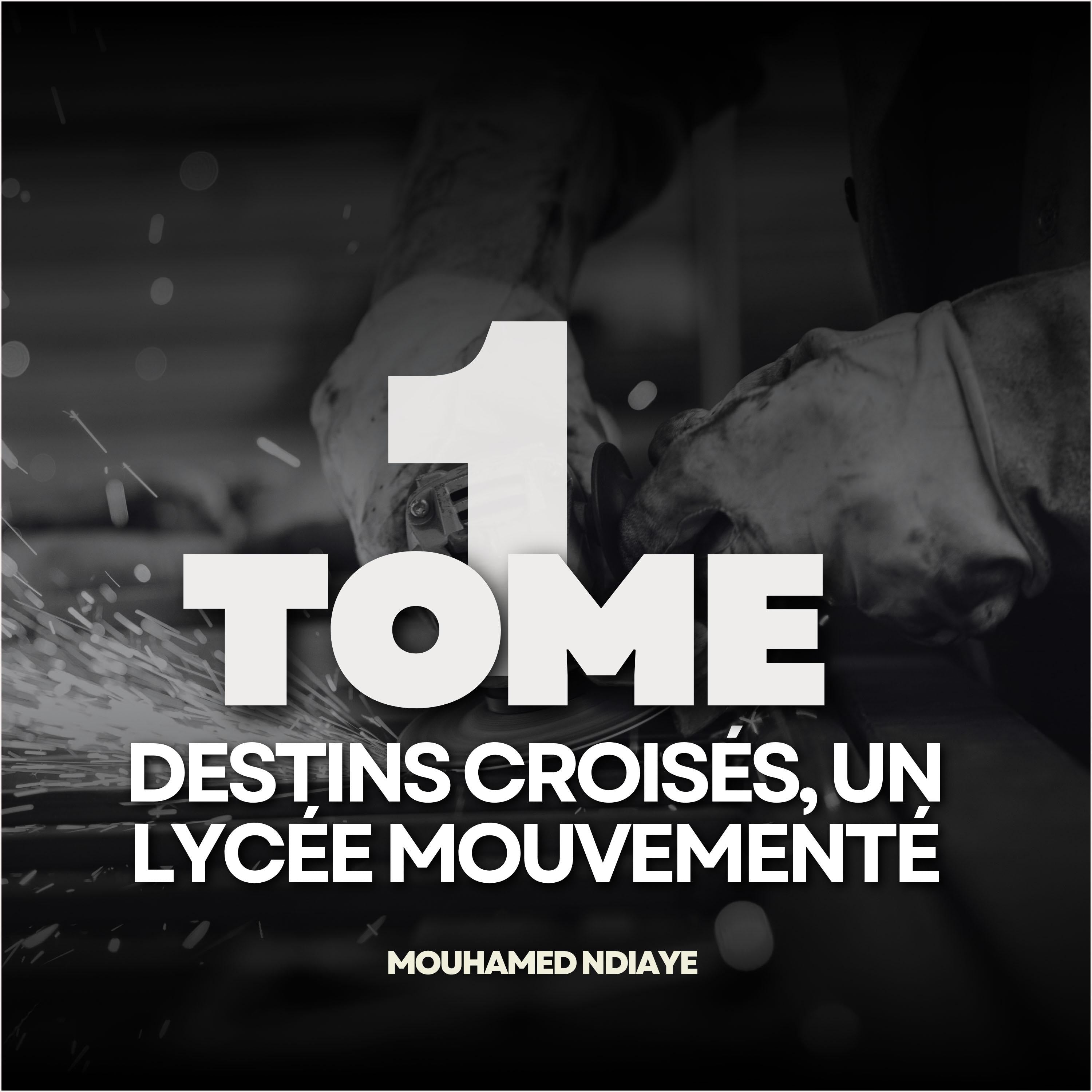 Destins Croisés : Un Lycée Mouvementé Tome 1