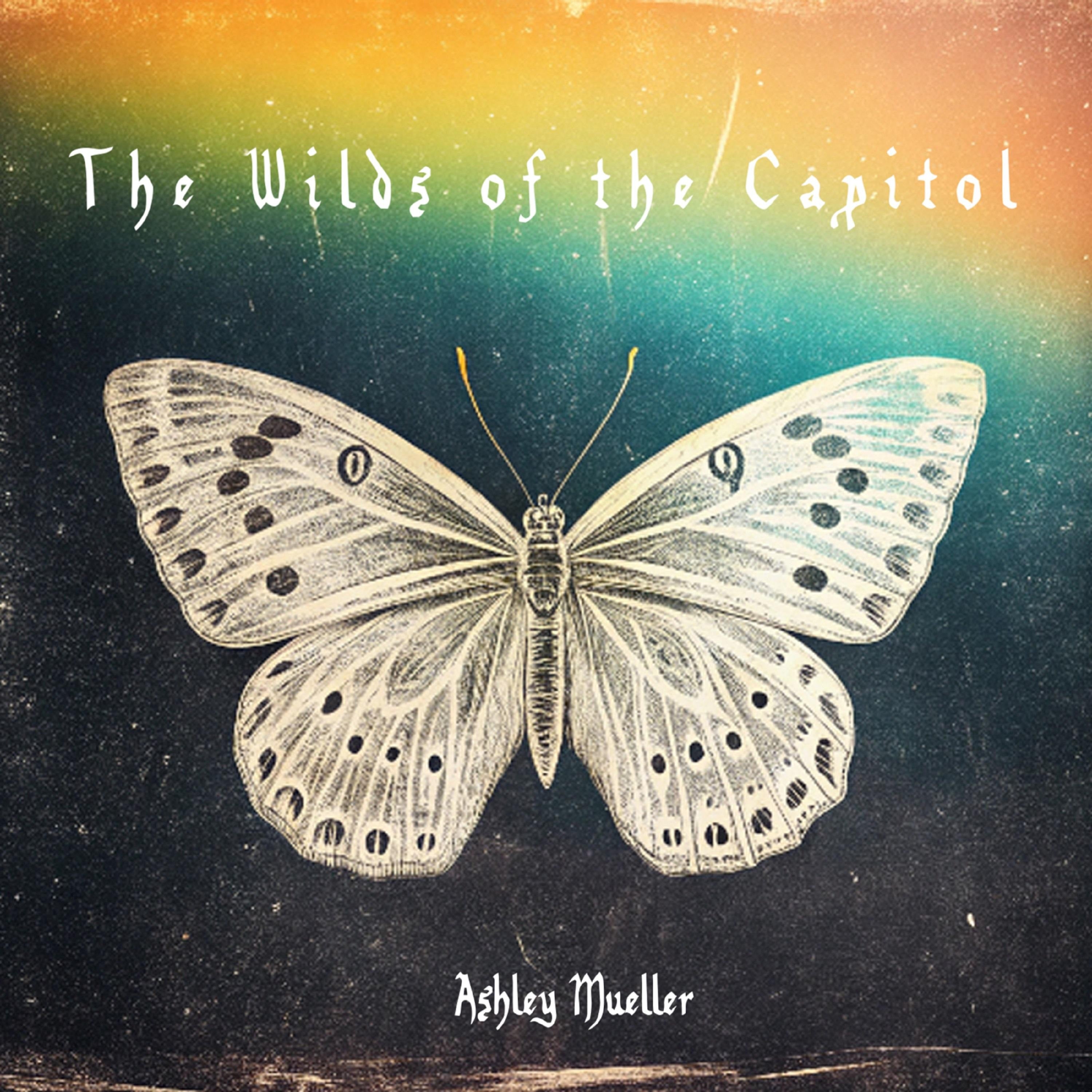 The Wilds of the Capitol