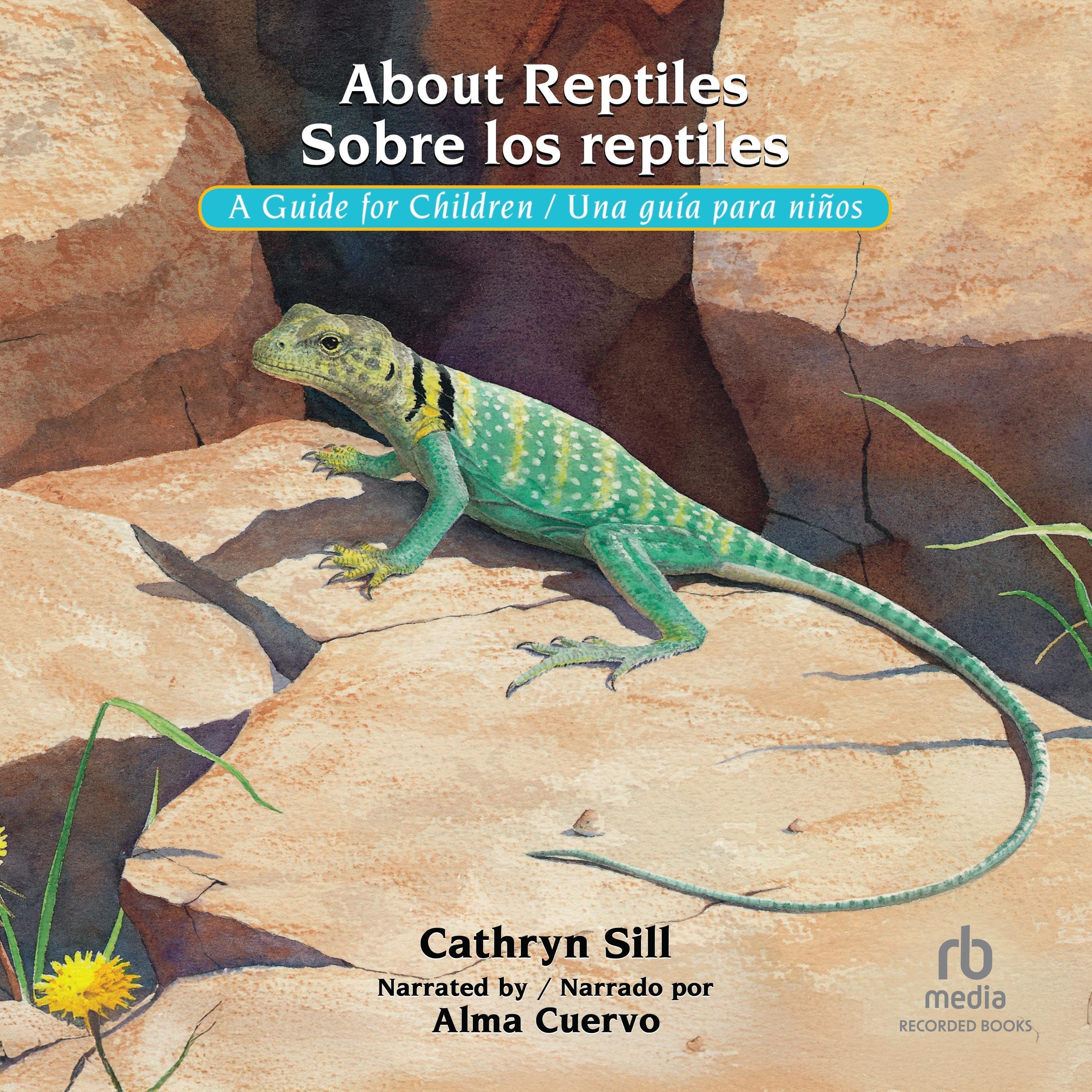 About Reptiles /Sobre los reptiles