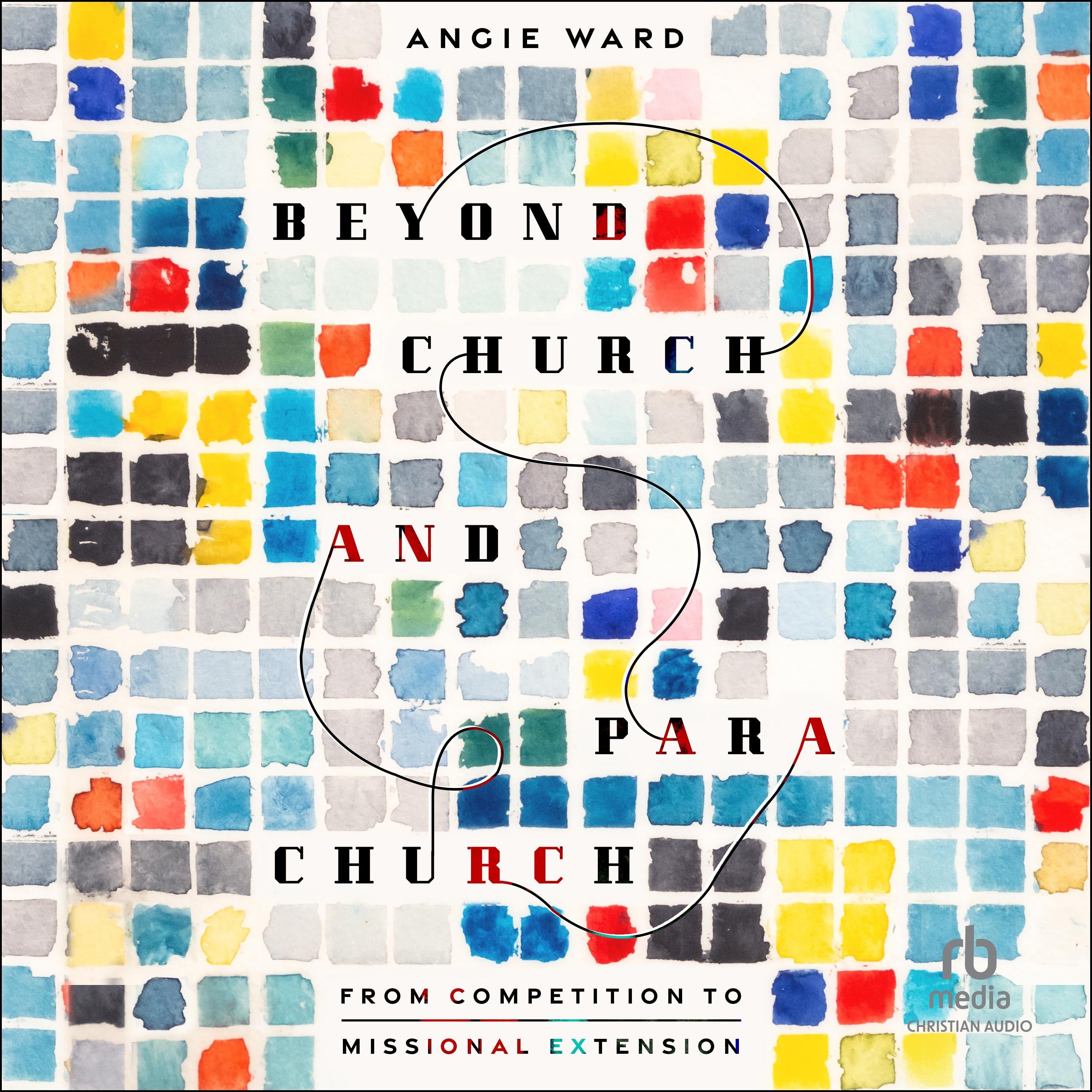 Beyond Church and Parachurch