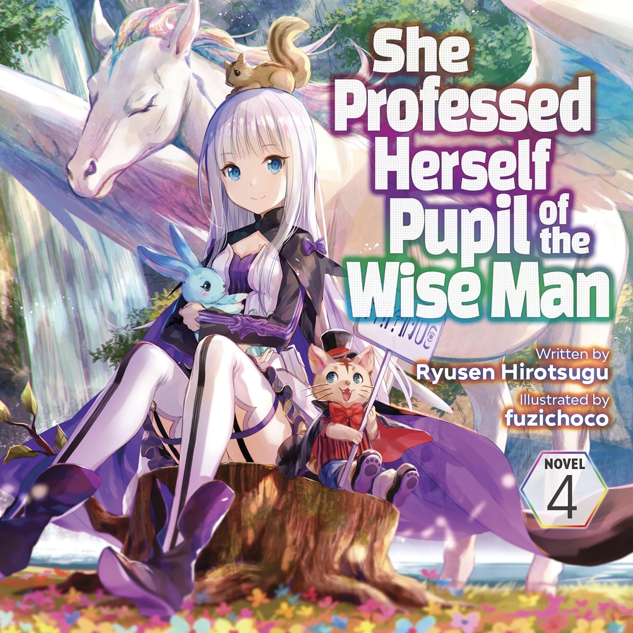 She Professed Herself Pupil of the Wise Man (Light Novel) Vol. 4