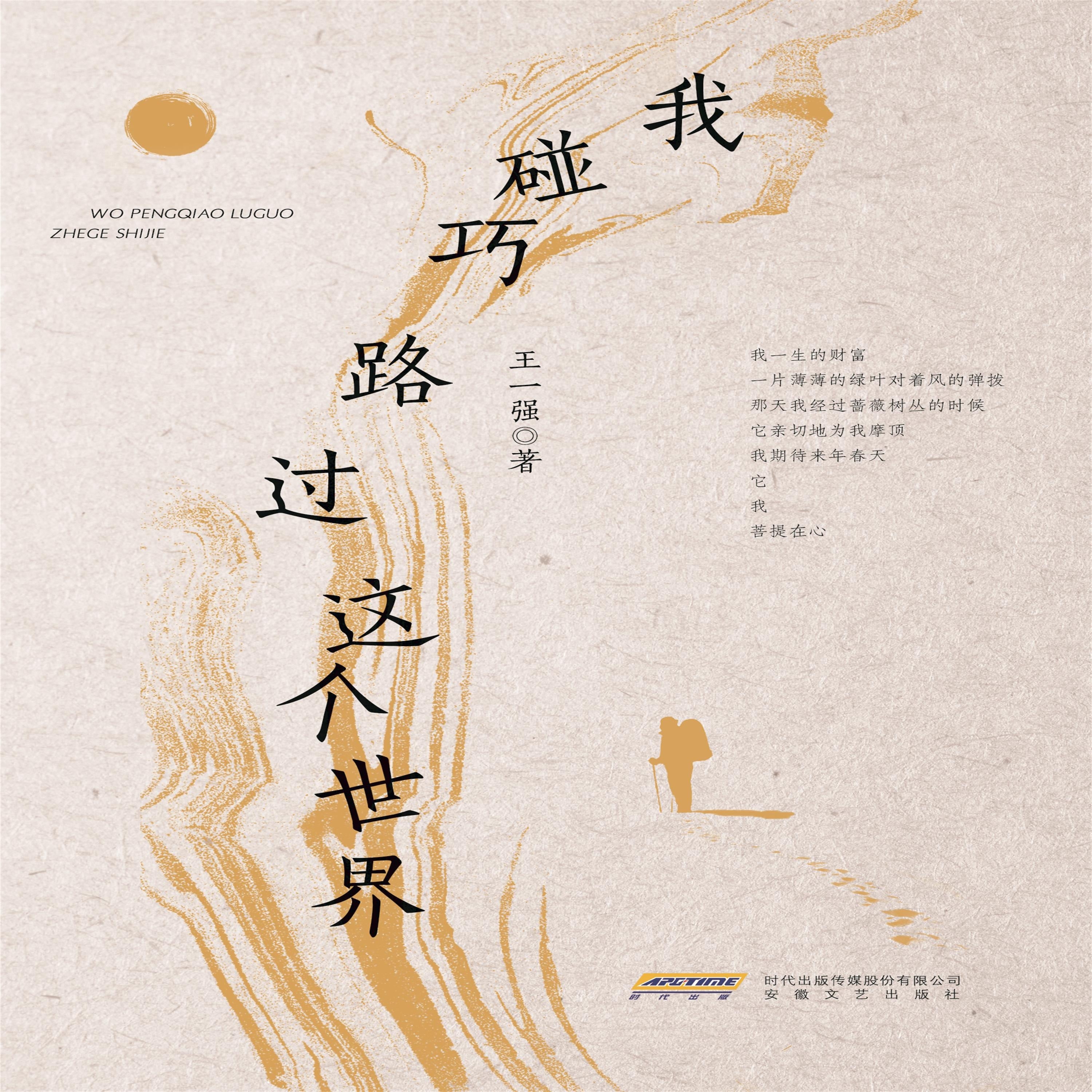 我碰巧路过这个世界