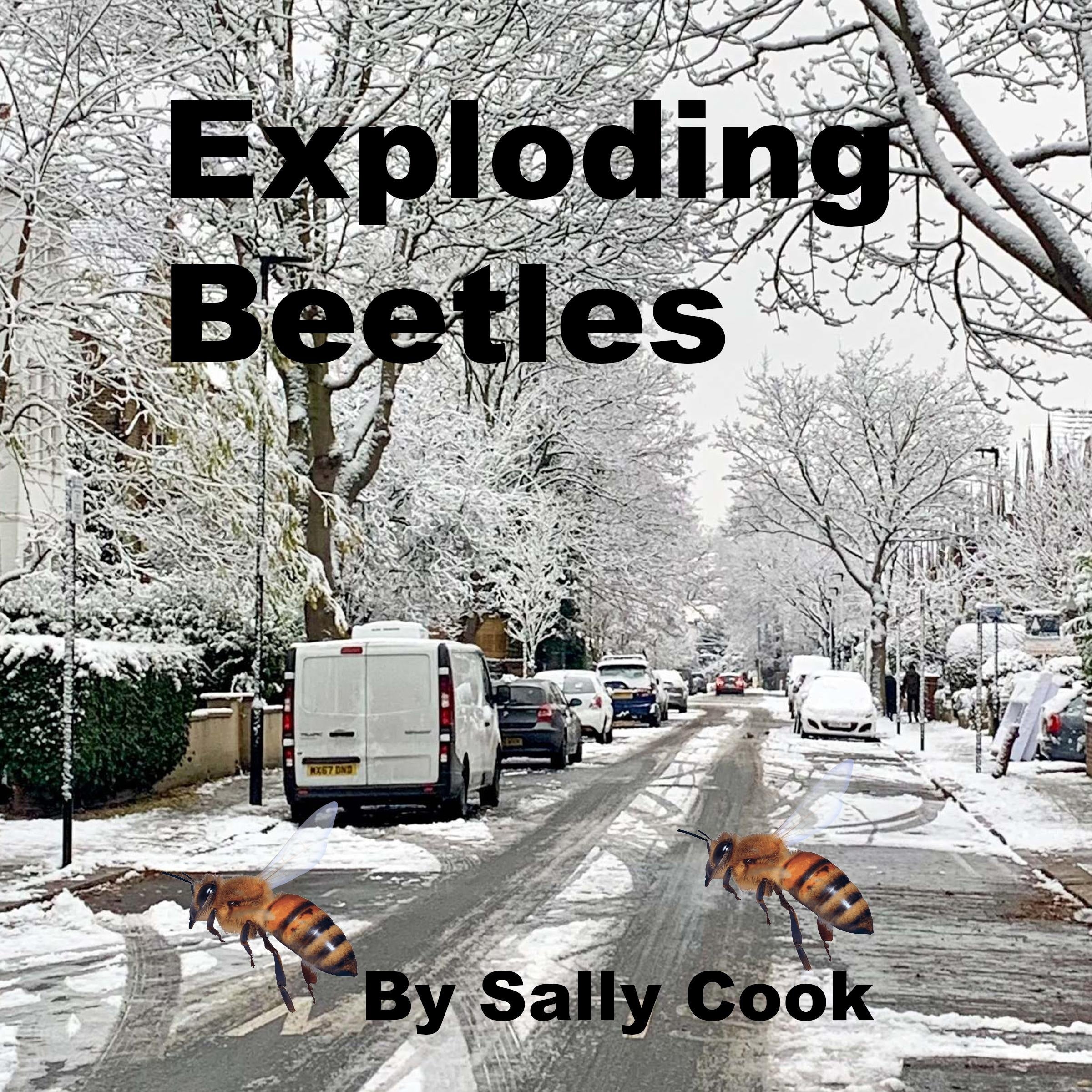 Exploding Beetles