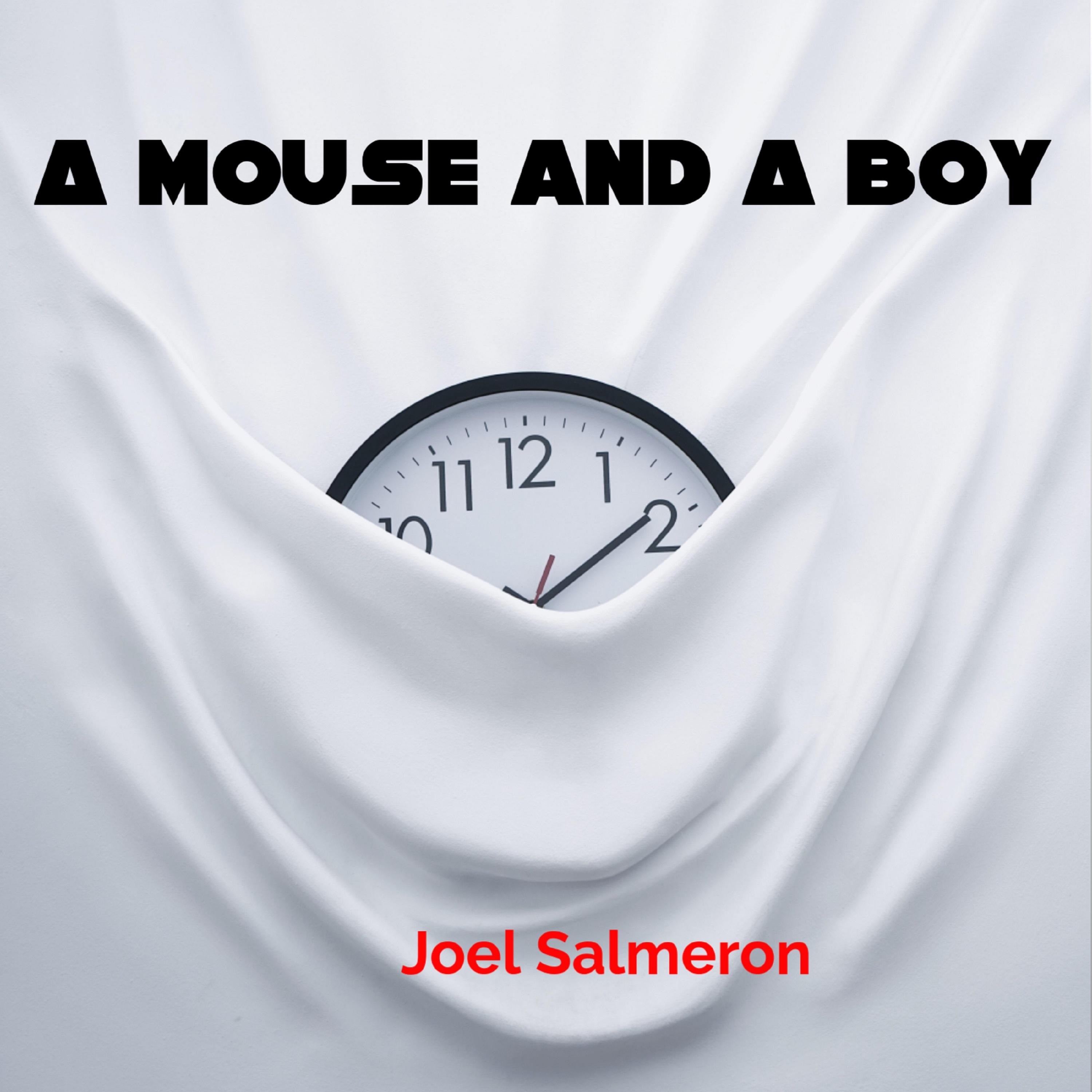 A Mouse and A Boy