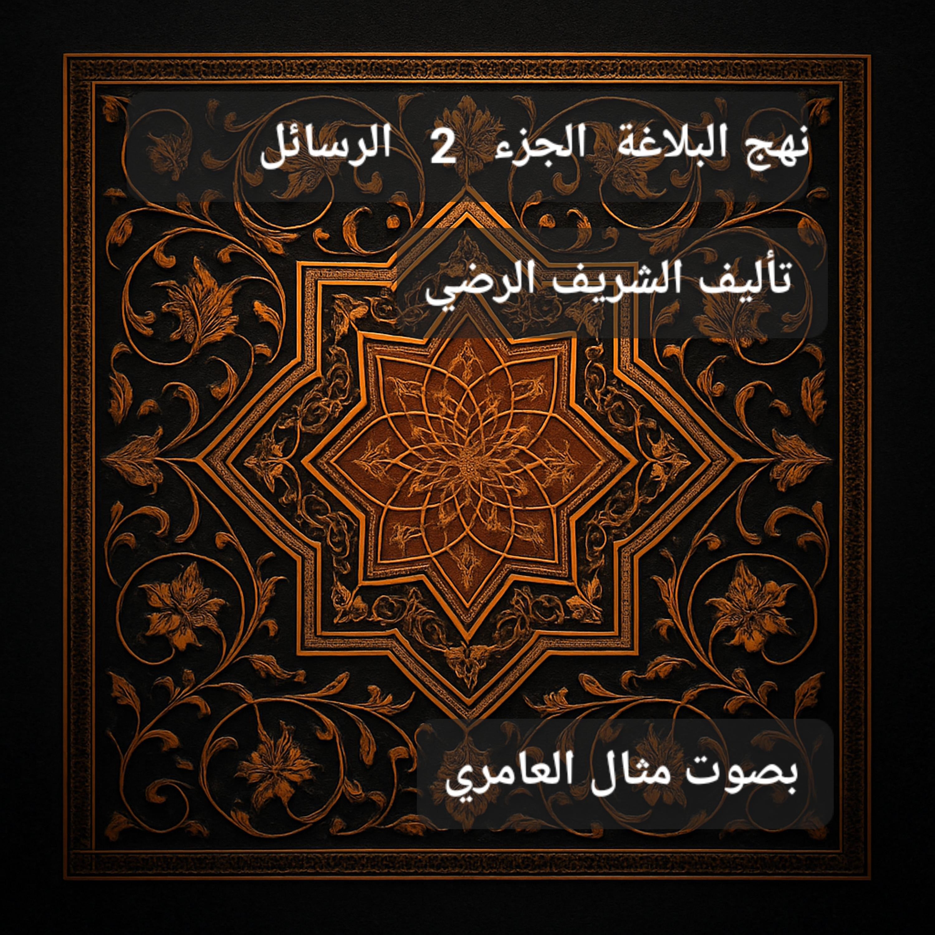 نهج البلاغة الجزء 2 الرسائل