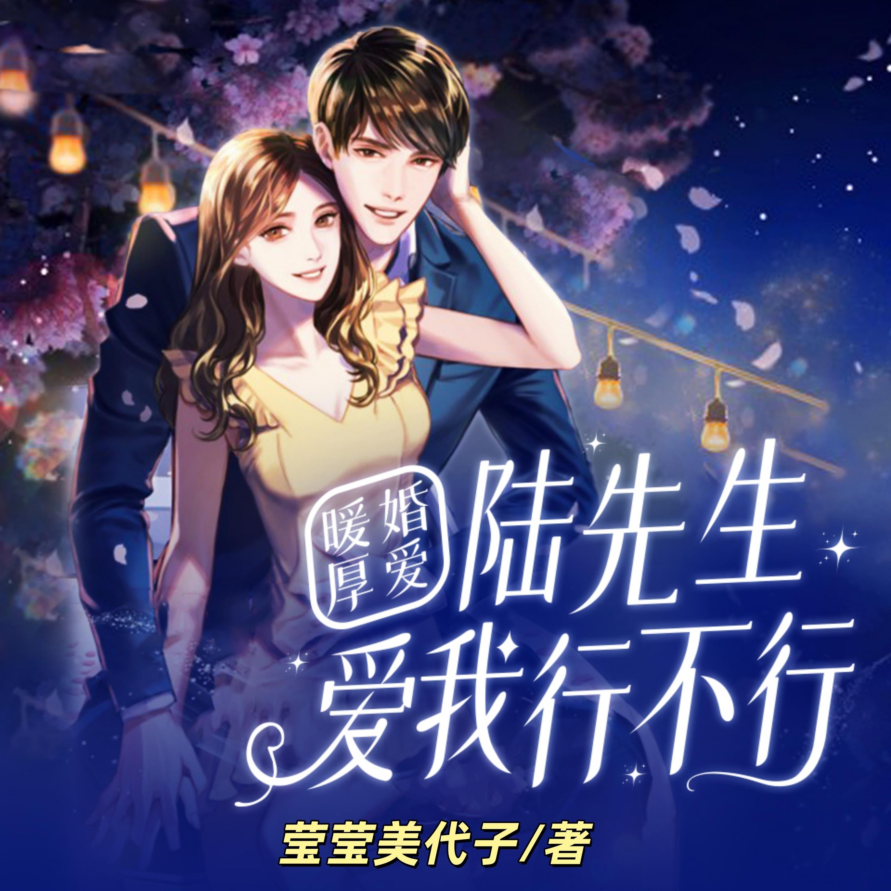 暖婚厚愛:陸先生,愛我行不行2