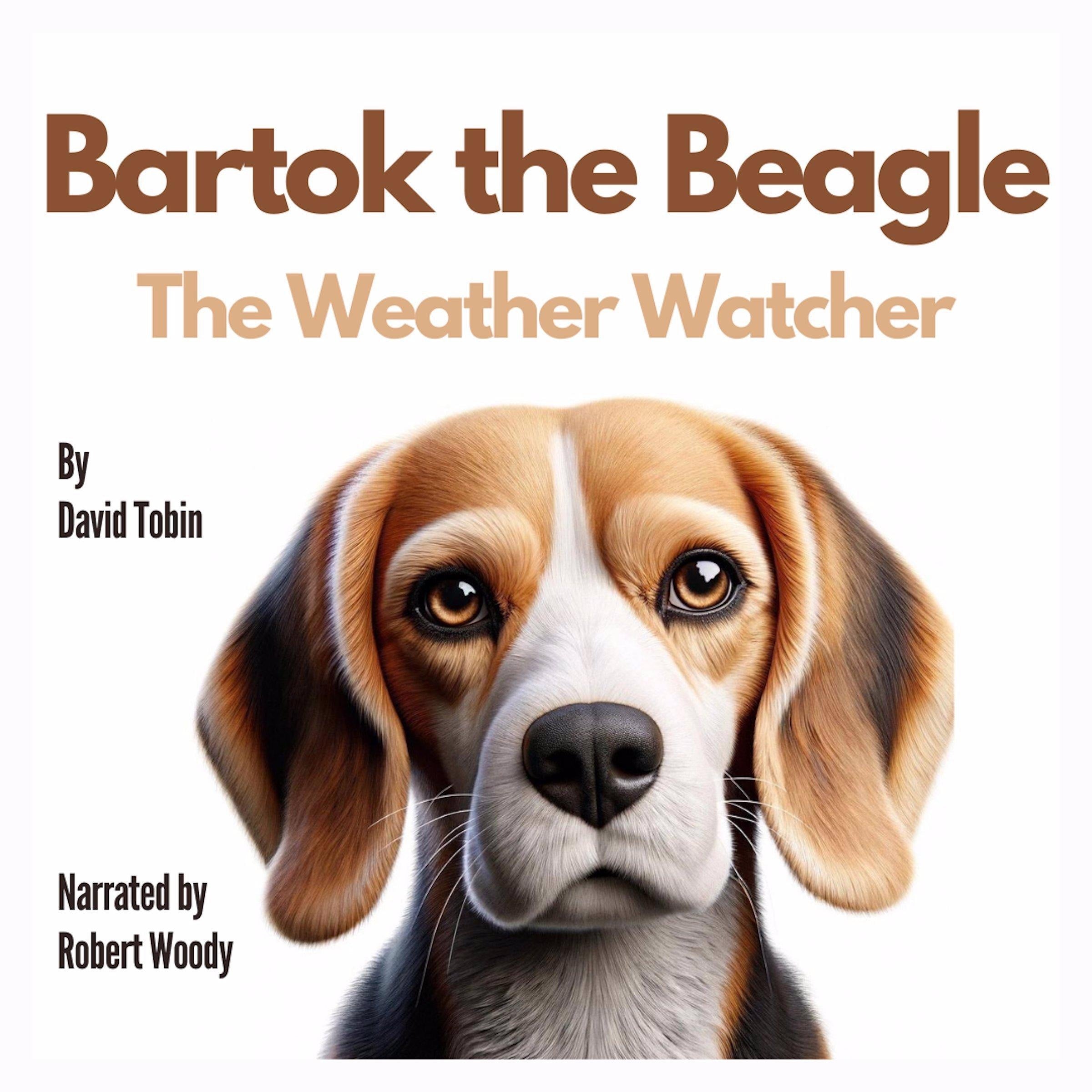 Bartok the Beagle: The Weather Watcher