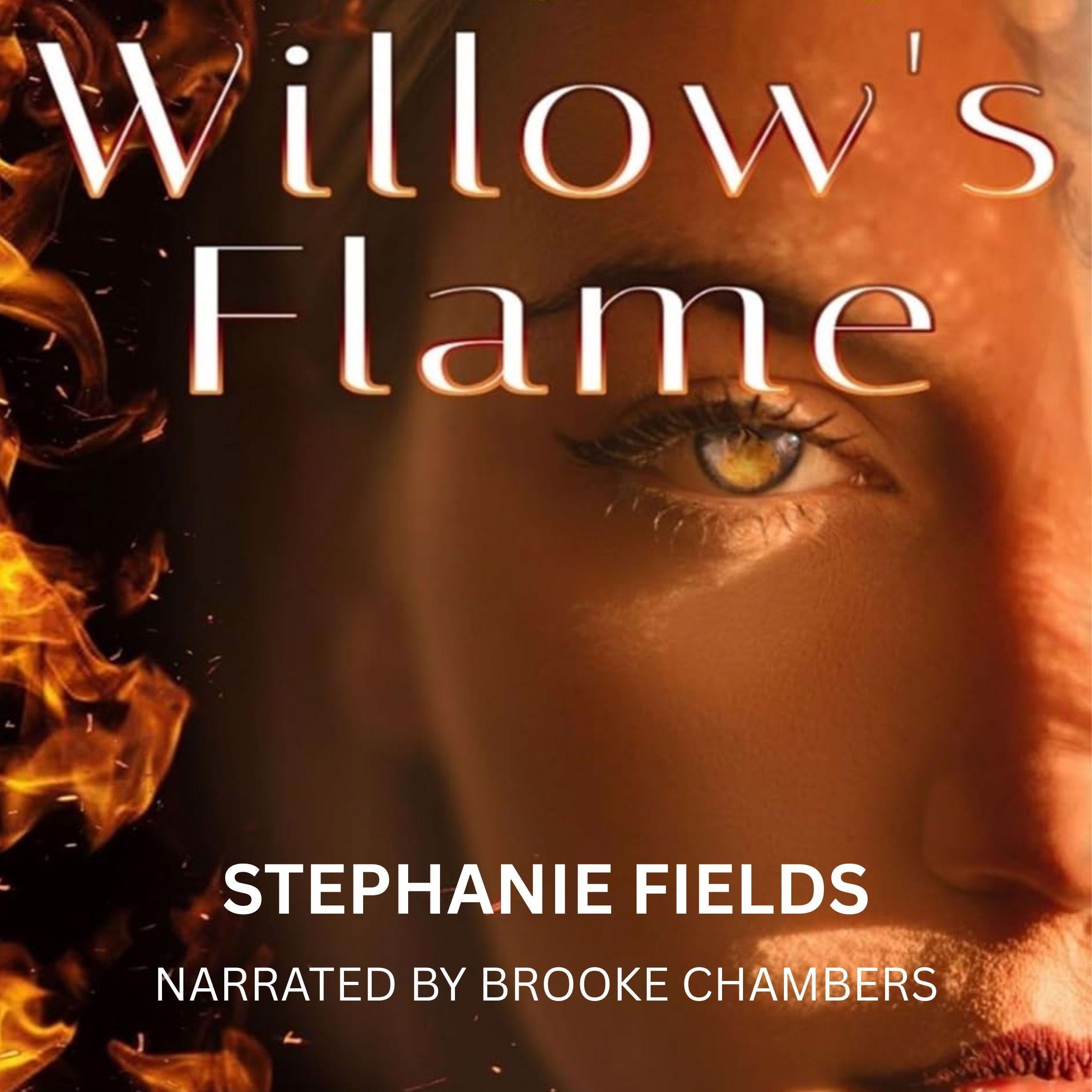 Willow's Flame (Willow's Wounds Book 1)