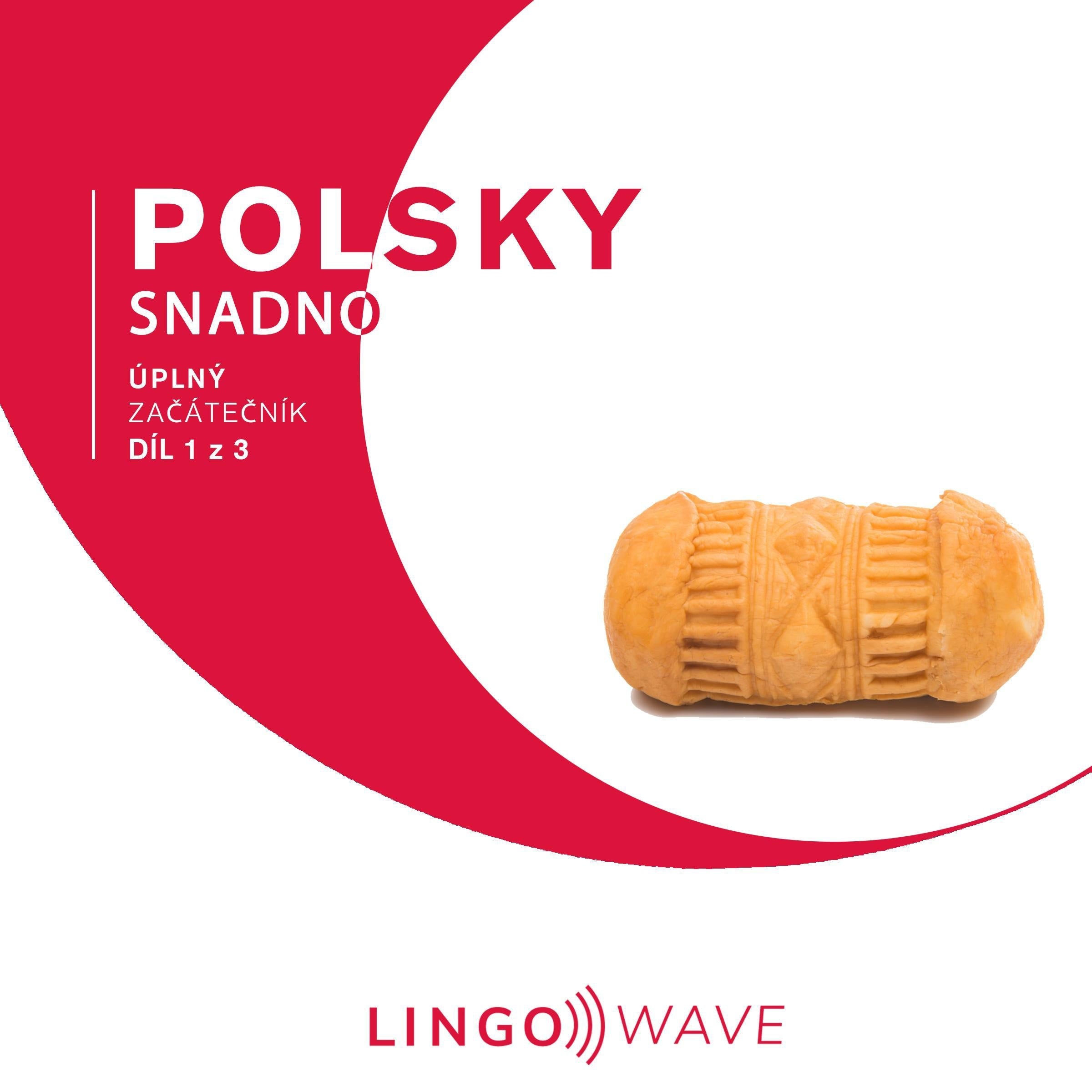 Polsky snadno - Úplný začátečník - Díl 1 z 3