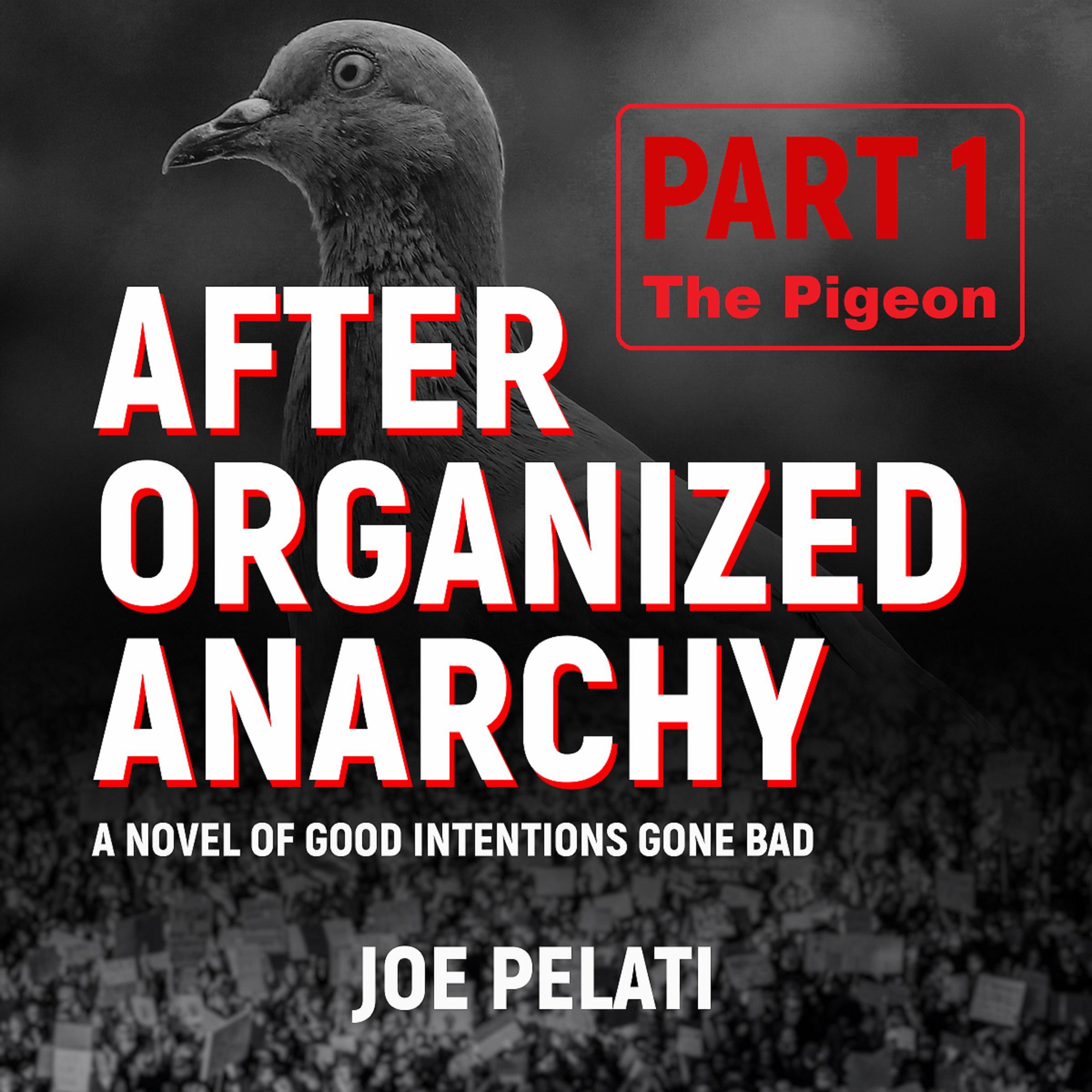 After Organized Anarchy: Part 1. The Pigeon
