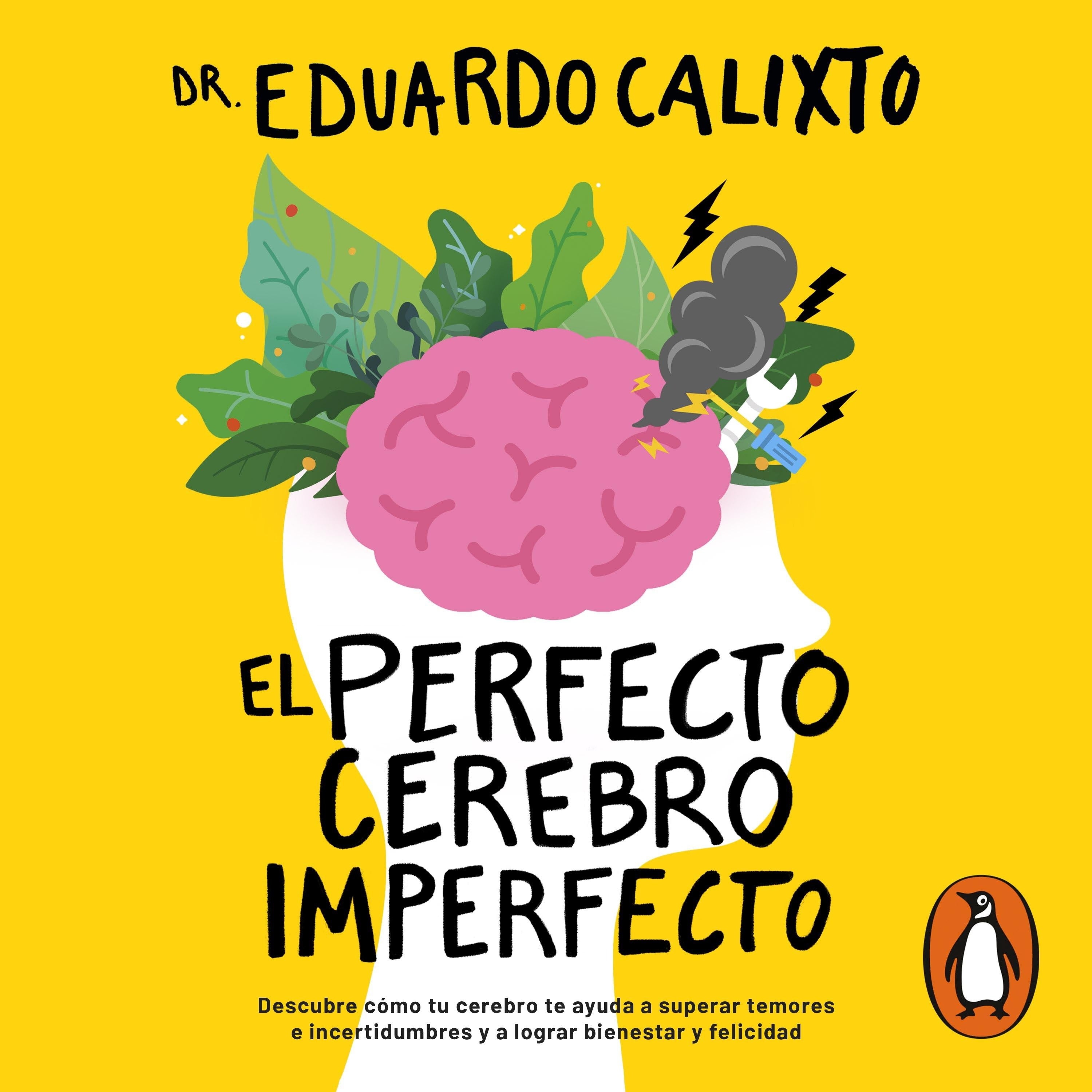 El perfecto cerebro imperfecto