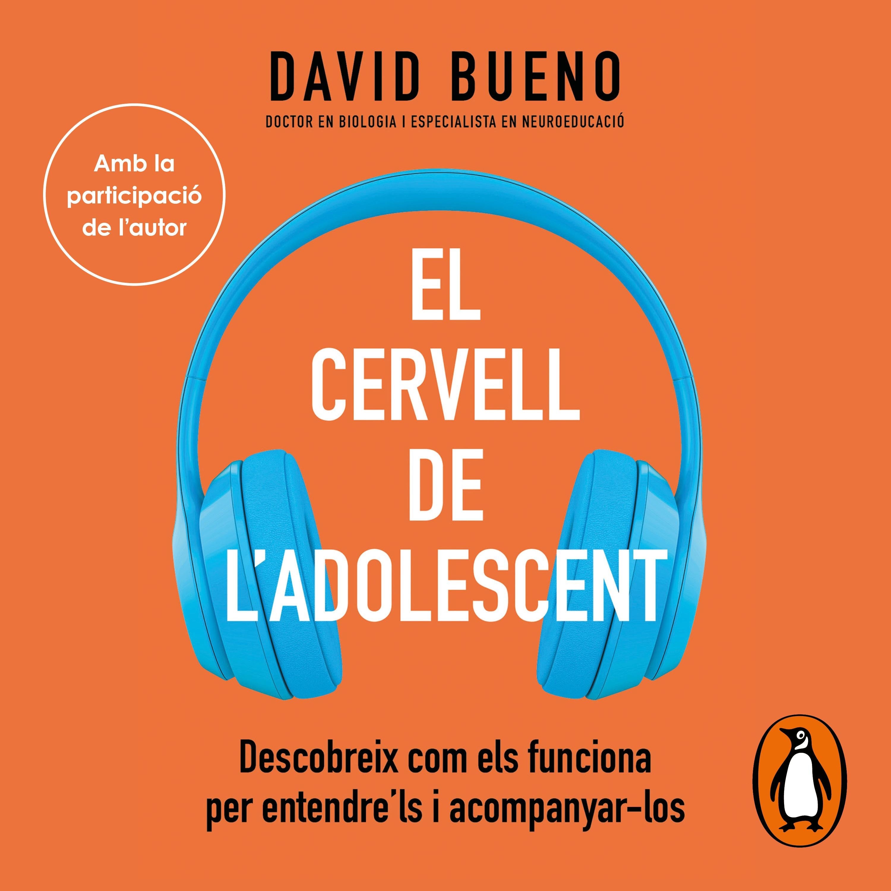 El cervell de l'adolescent