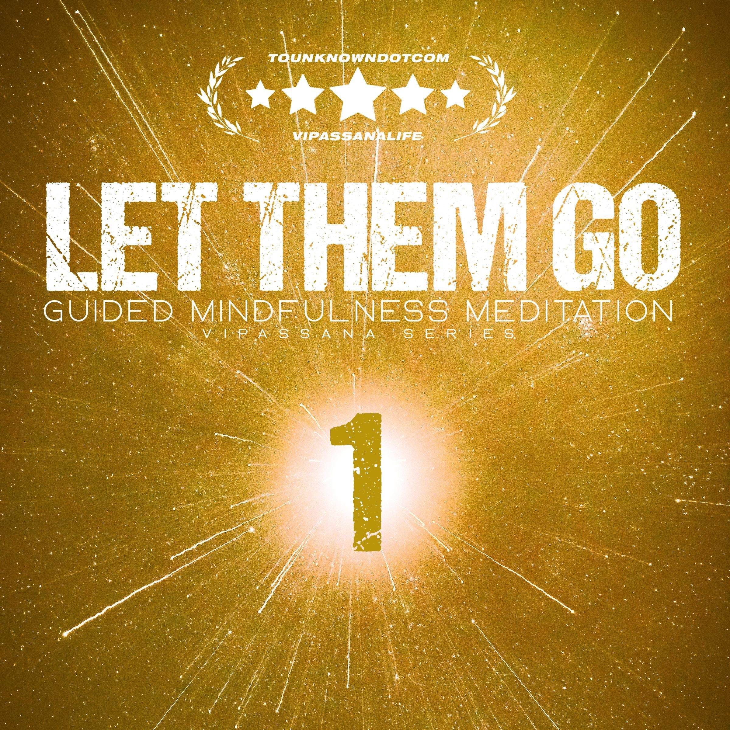 Let Them Go: Guided Mindfulness Meditation (Vipassana Series)