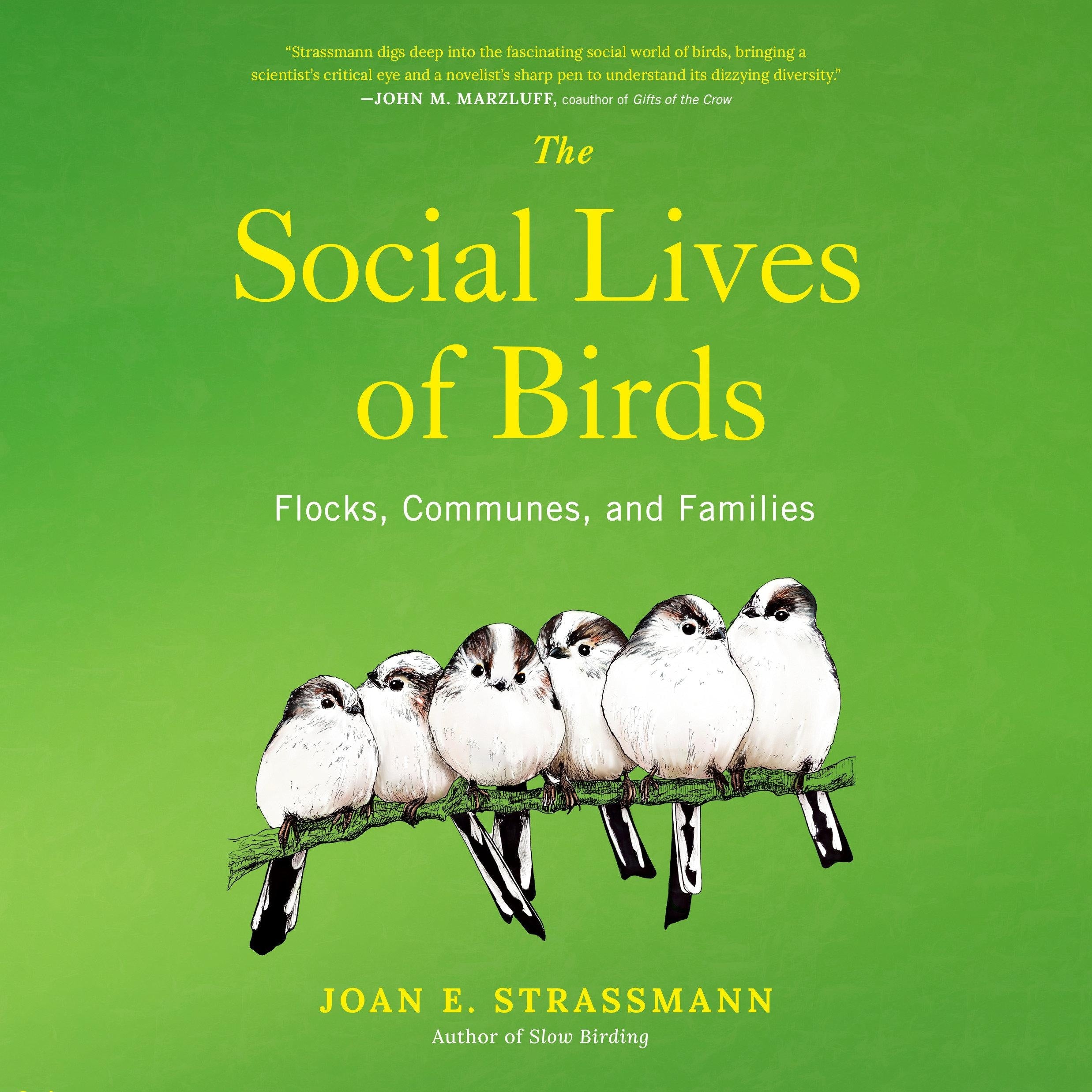 The Social Lives of Birds