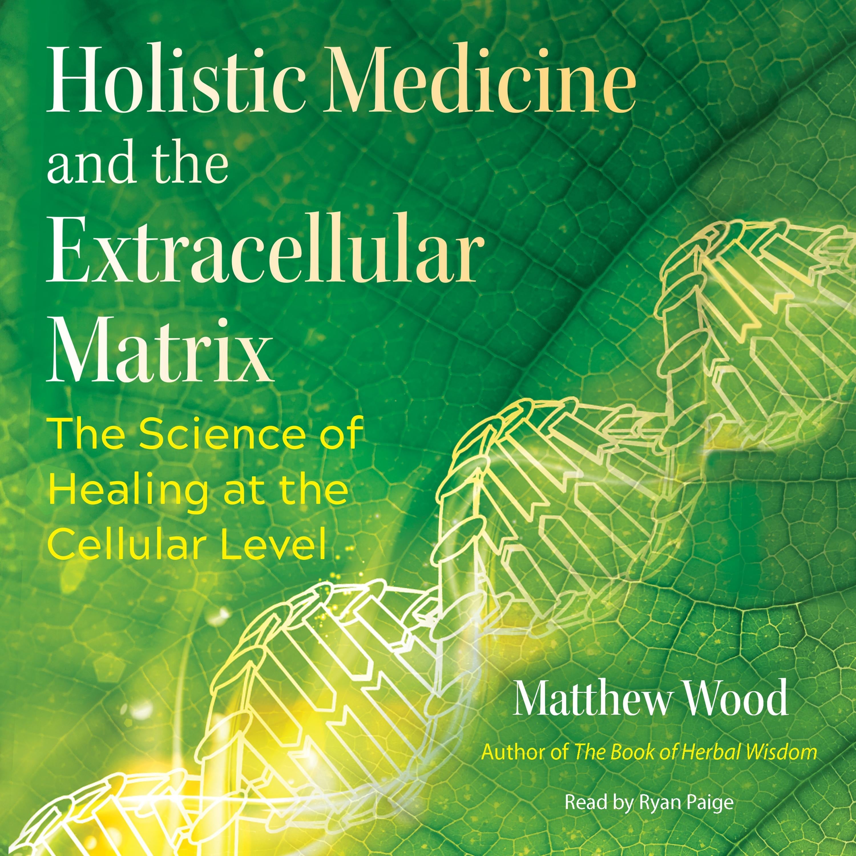 Holistic Medicine and the Extracellular Matrix