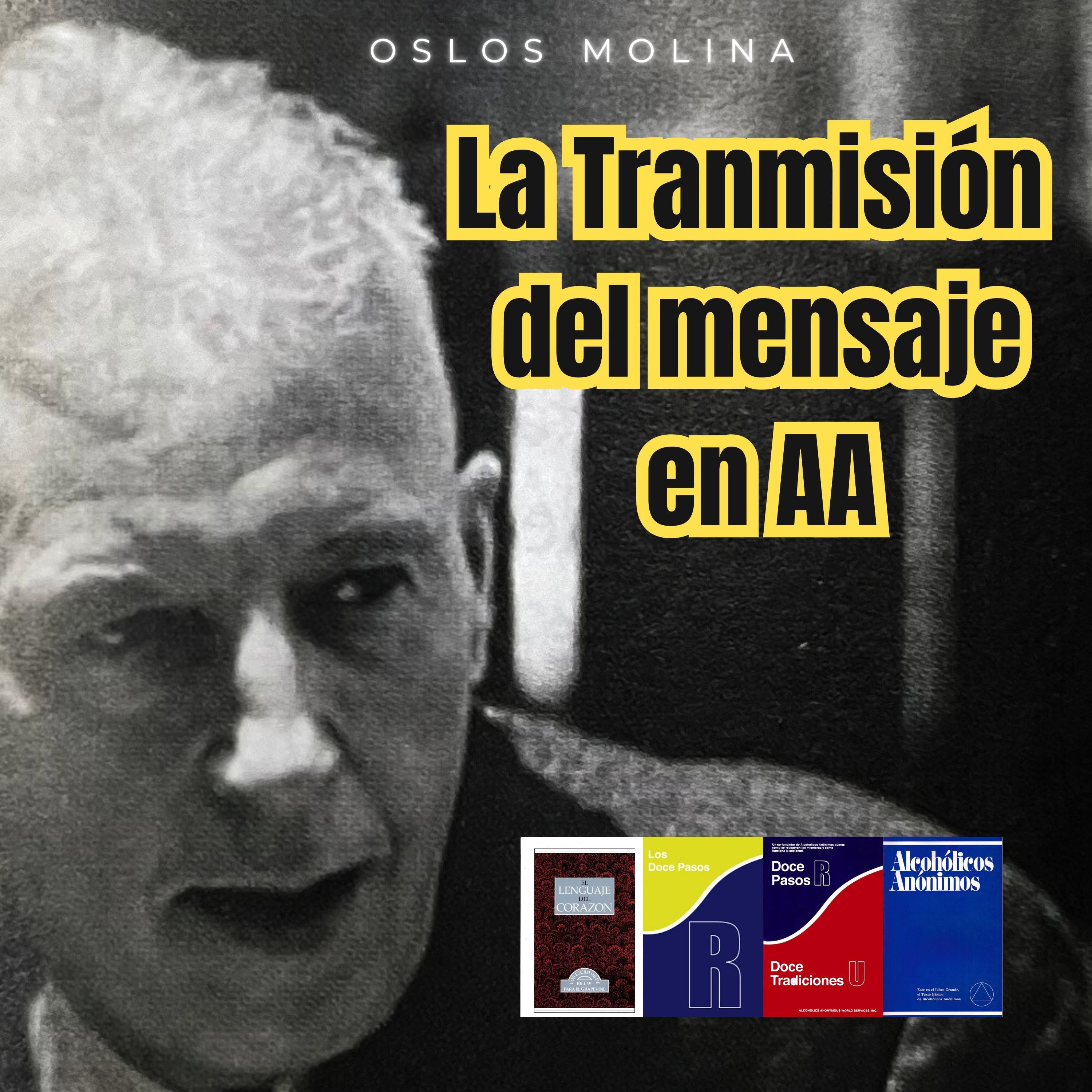 La Transmisión del mensaje en AA