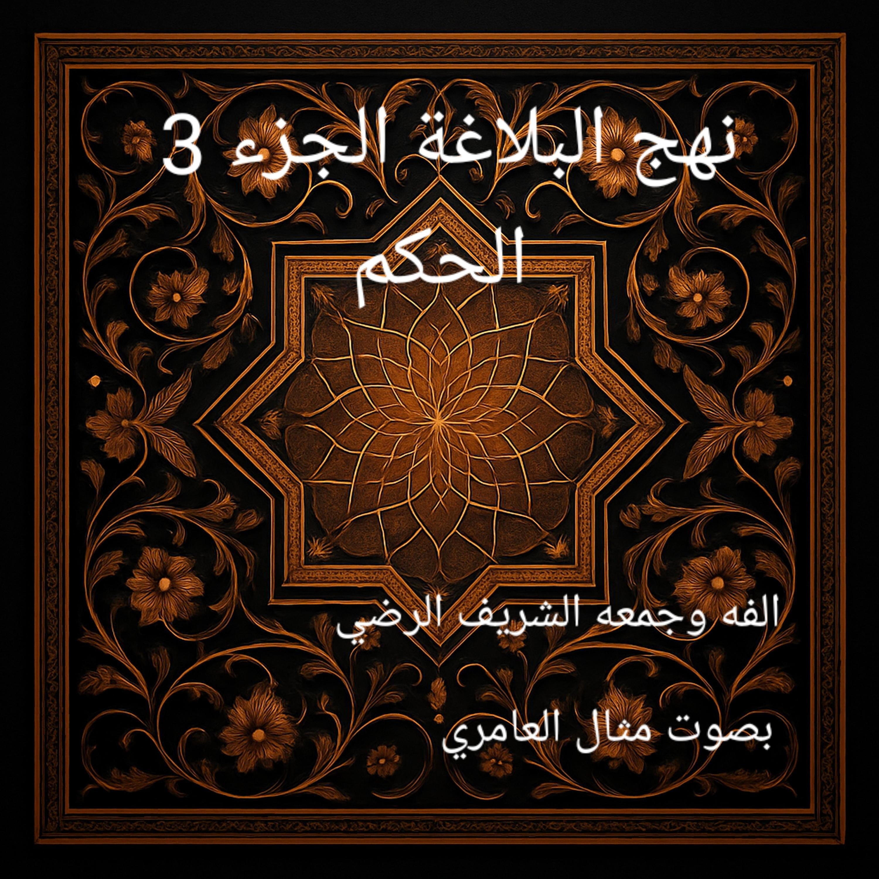 نهج البلاغة الجزء 3 الحكم