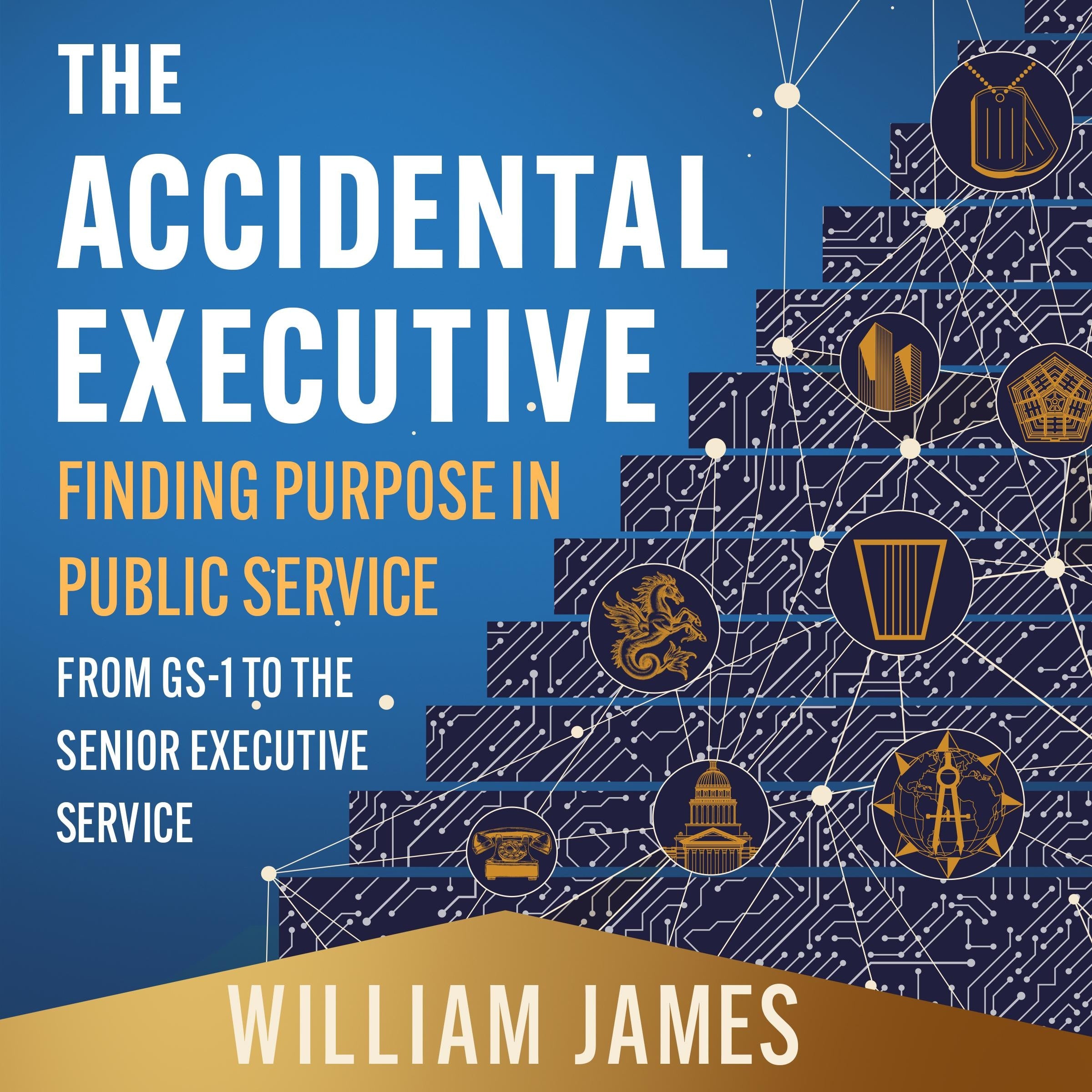 The Accidental Executive