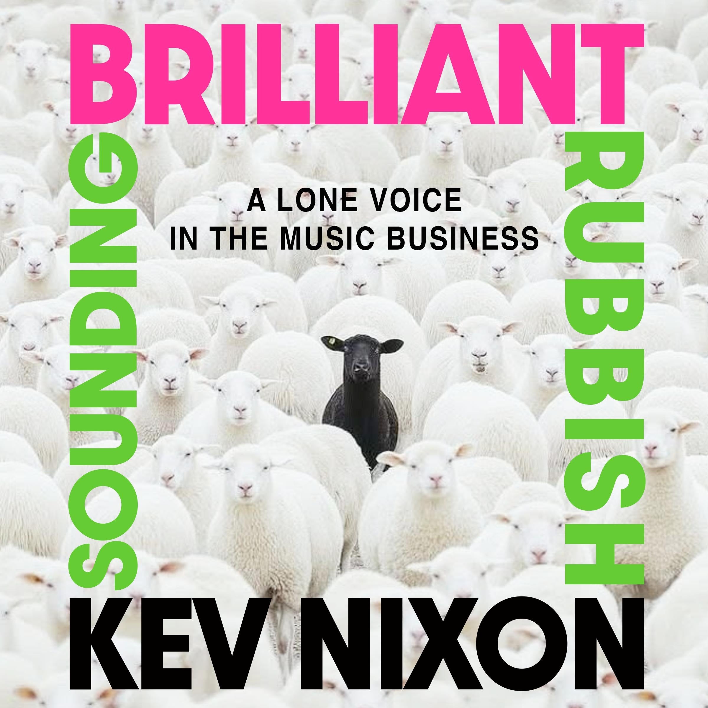 Brilliant Sounding Rubbish