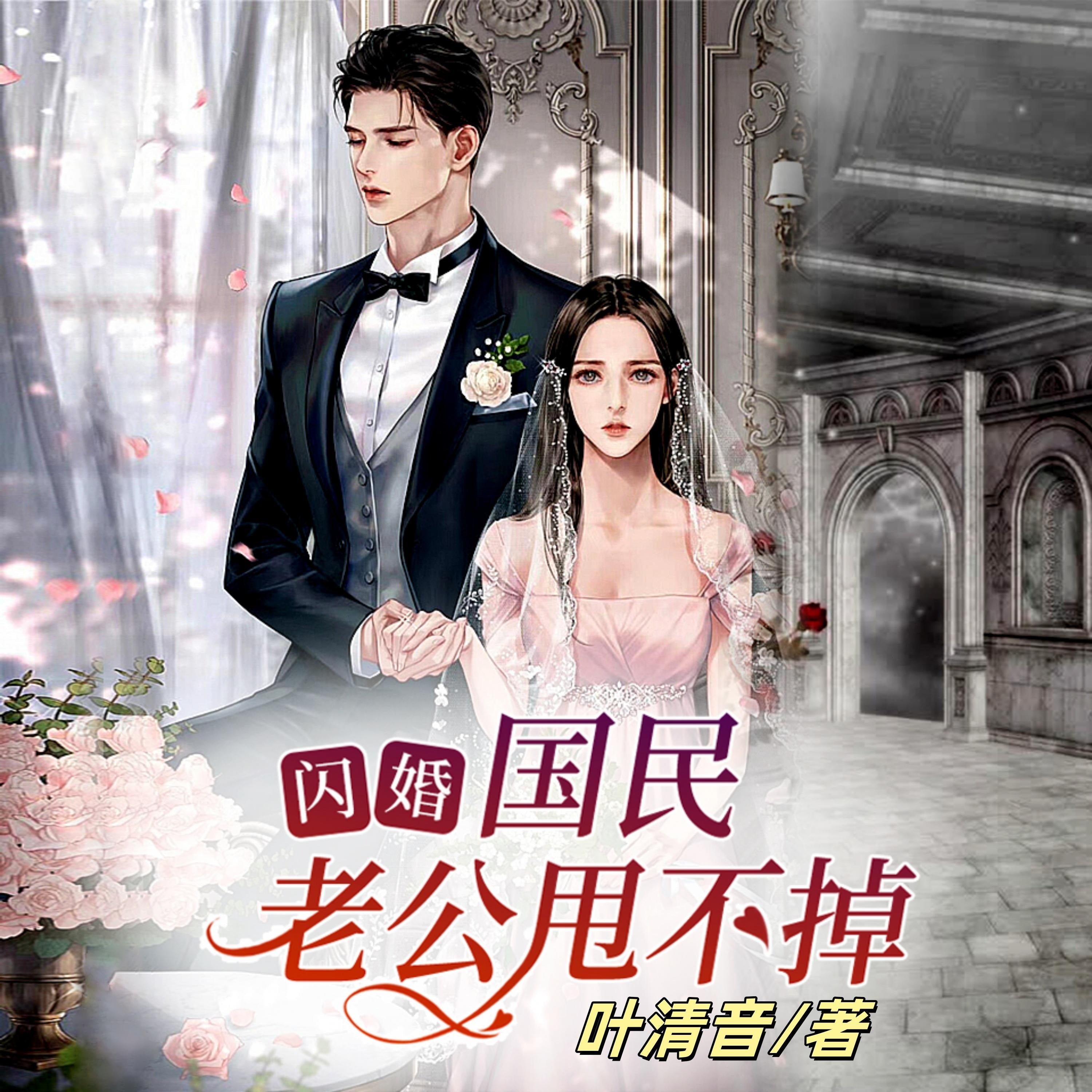 闪婚:国民老公甩不掉3