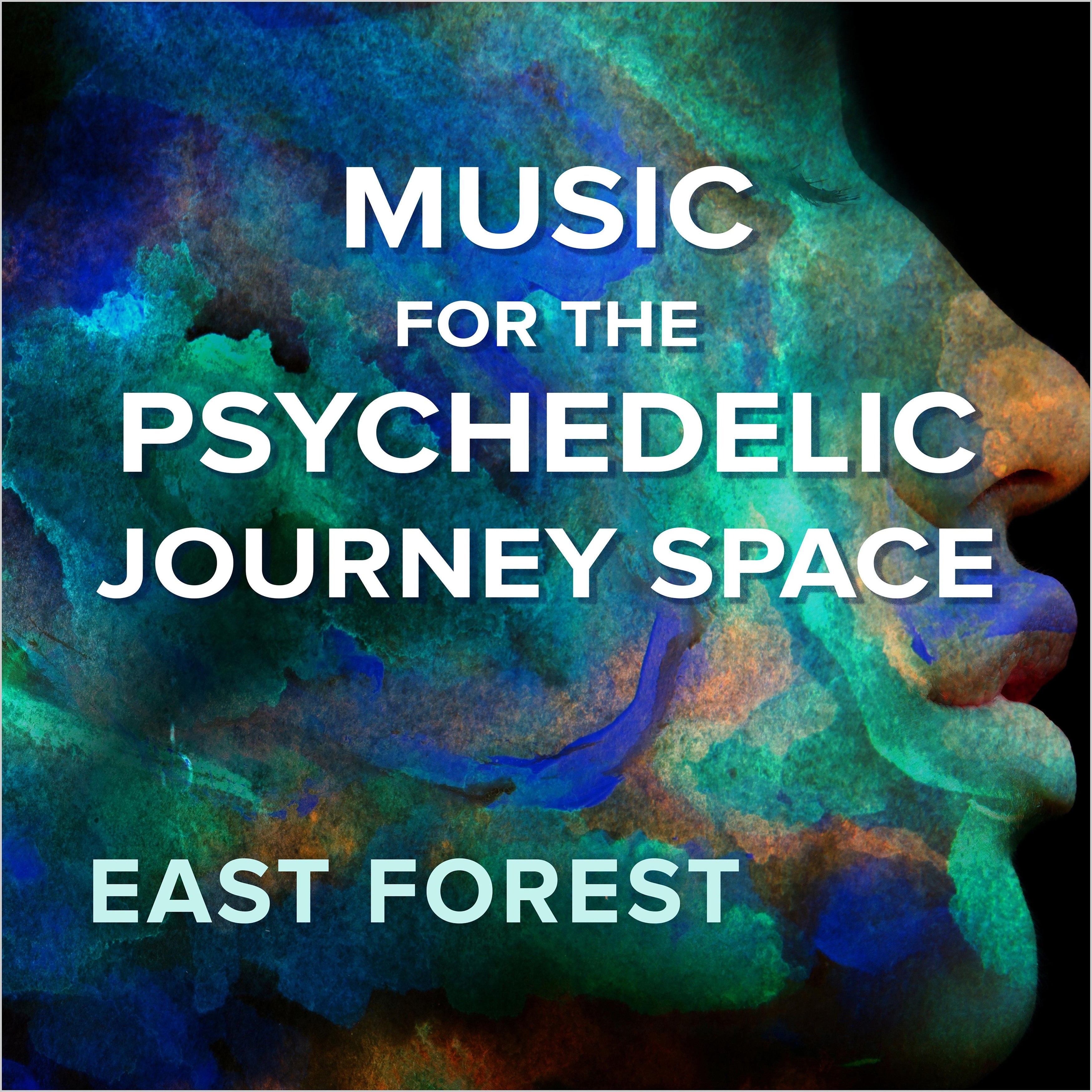 Music for the Psychedelic Journey Space