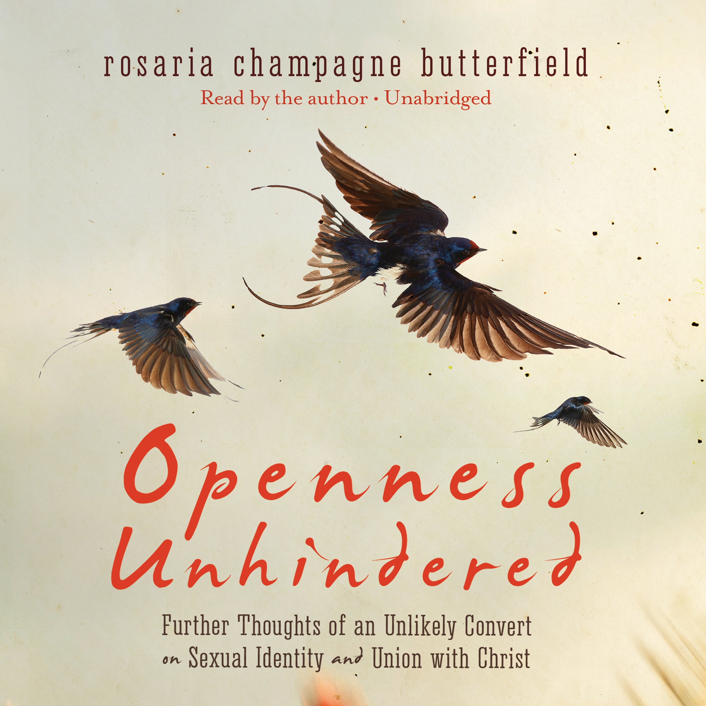 Openness Unhindered