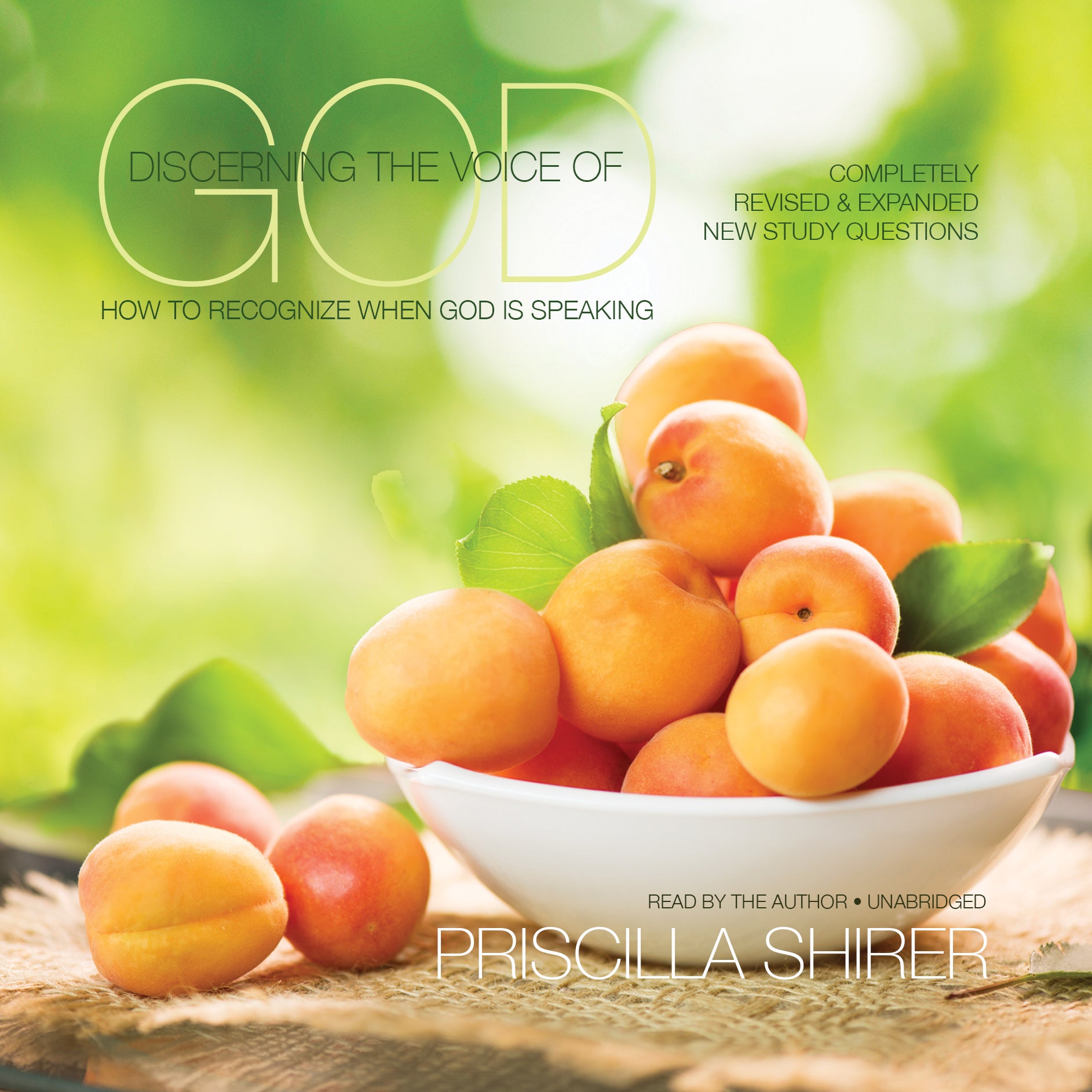 Discerning the Voice of God