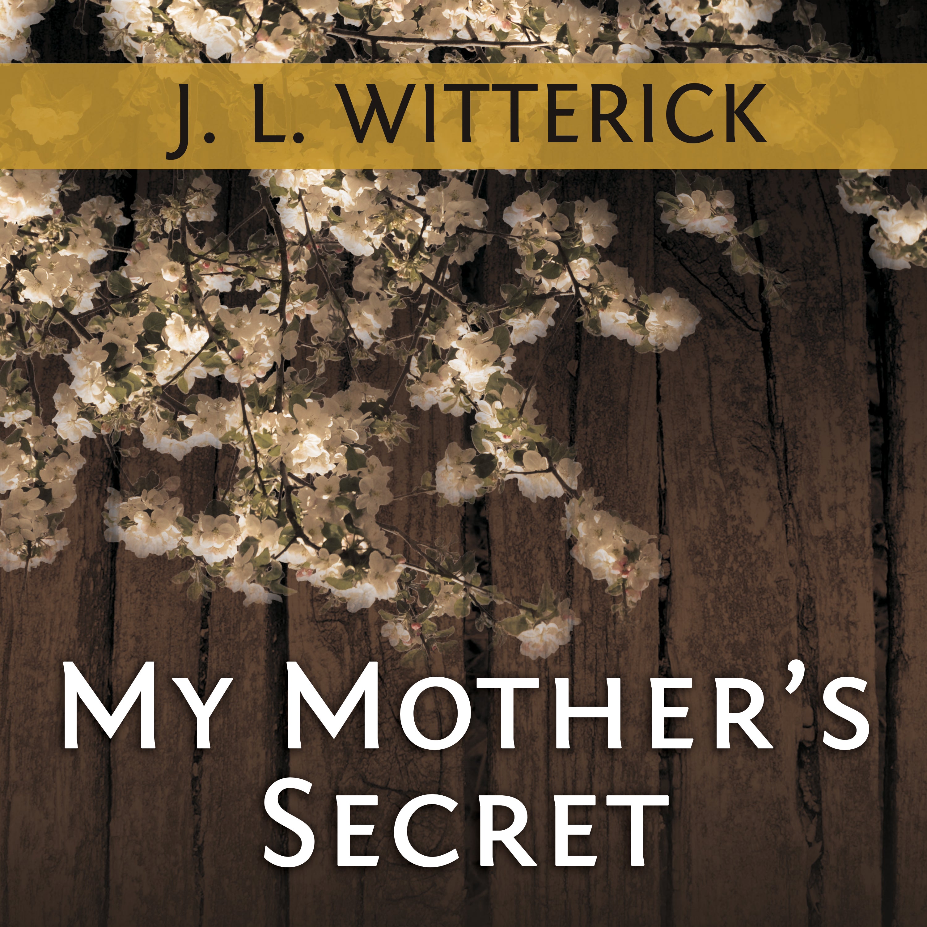 My Mother's Secret