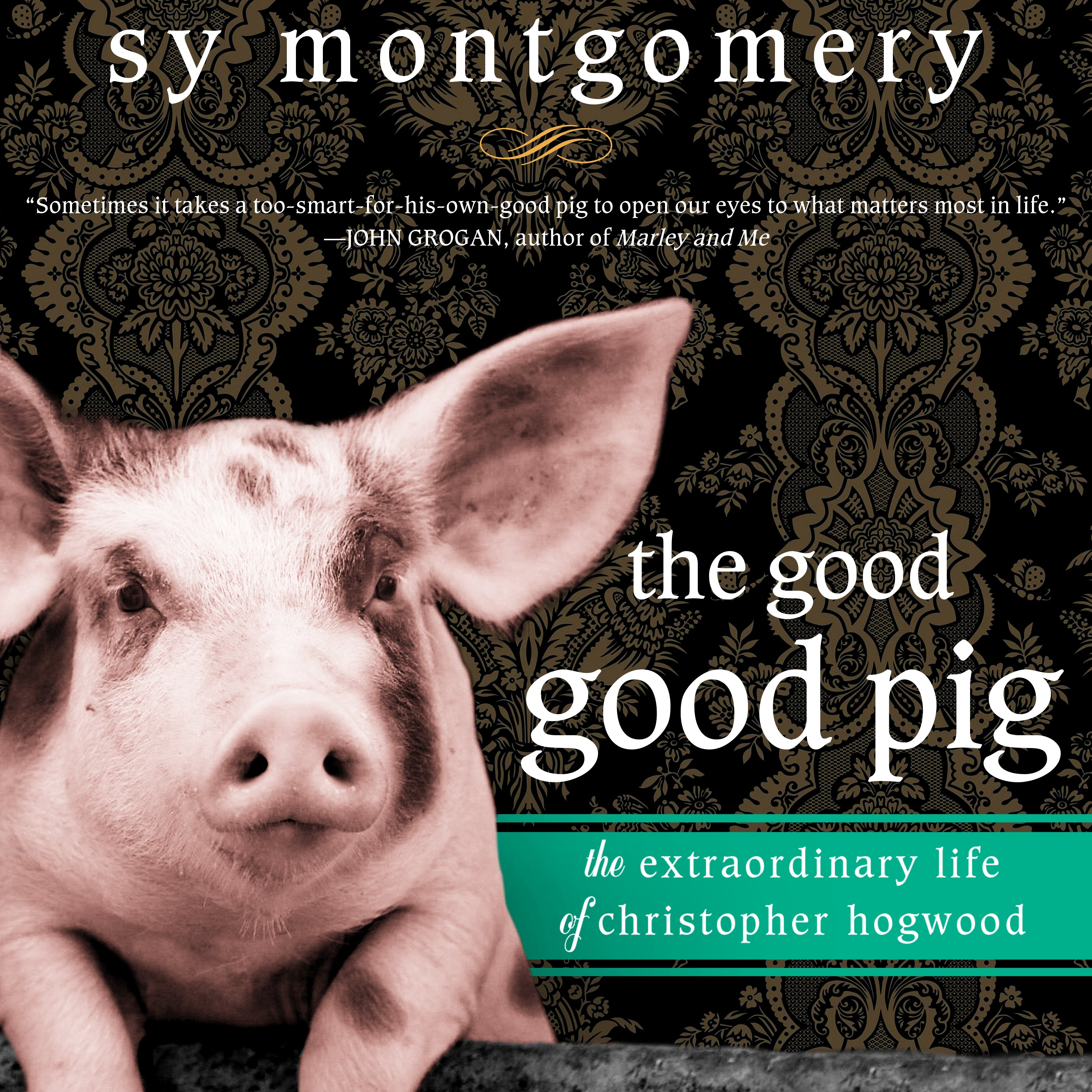 The Good Good Pig