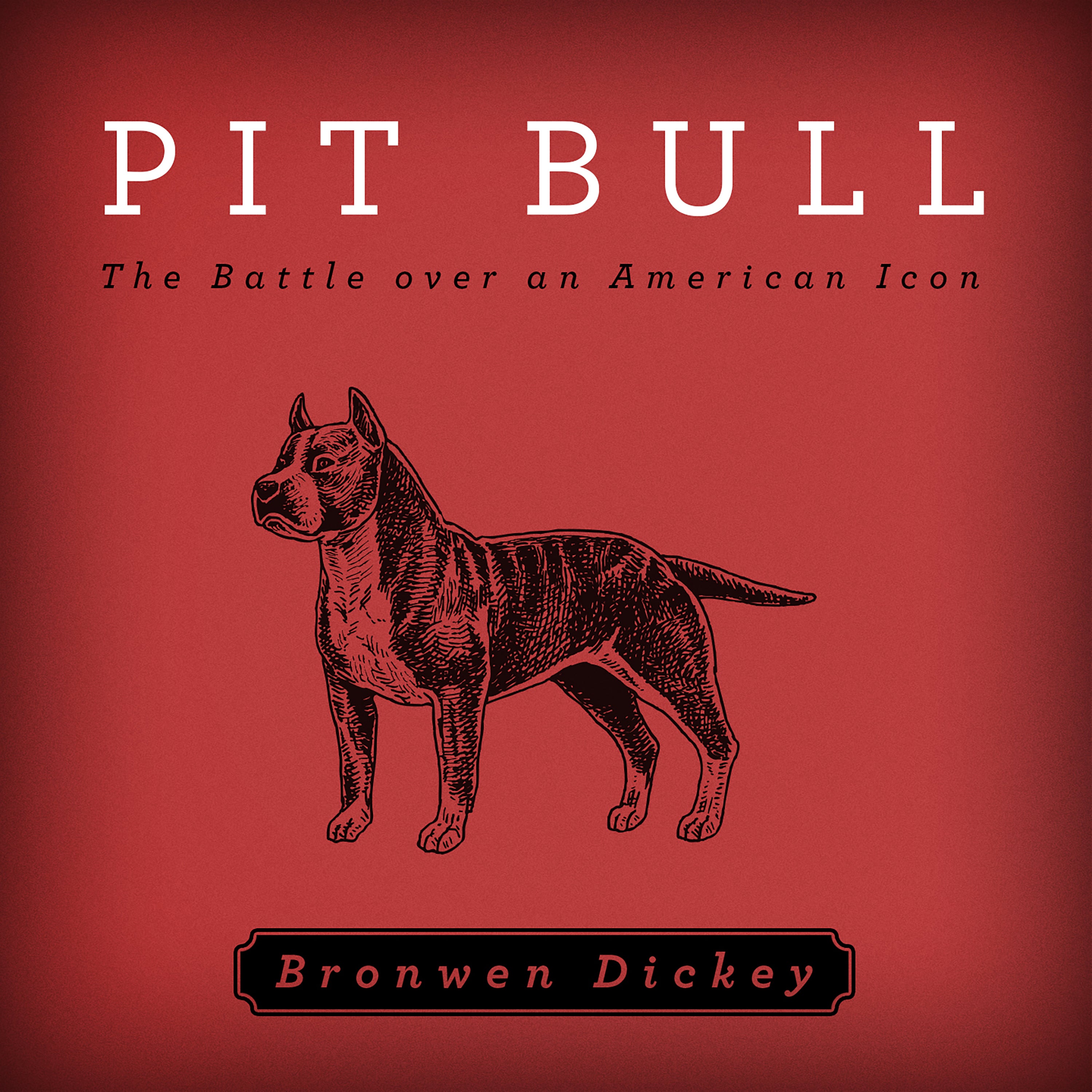 Pit Bull