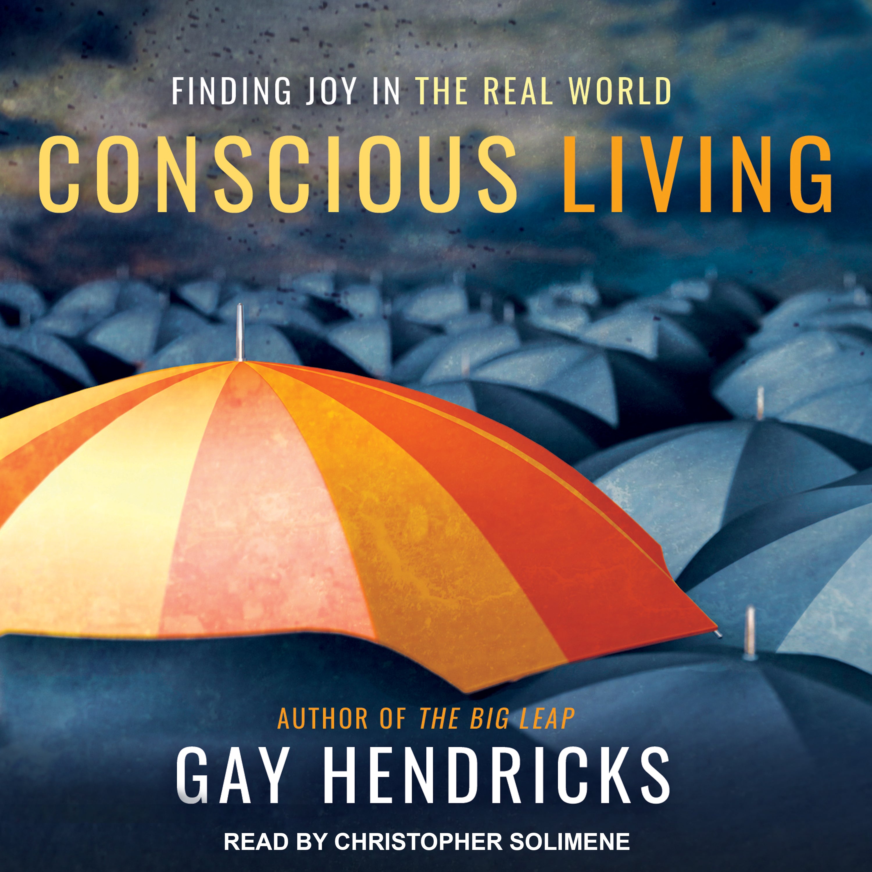 Conscious Living