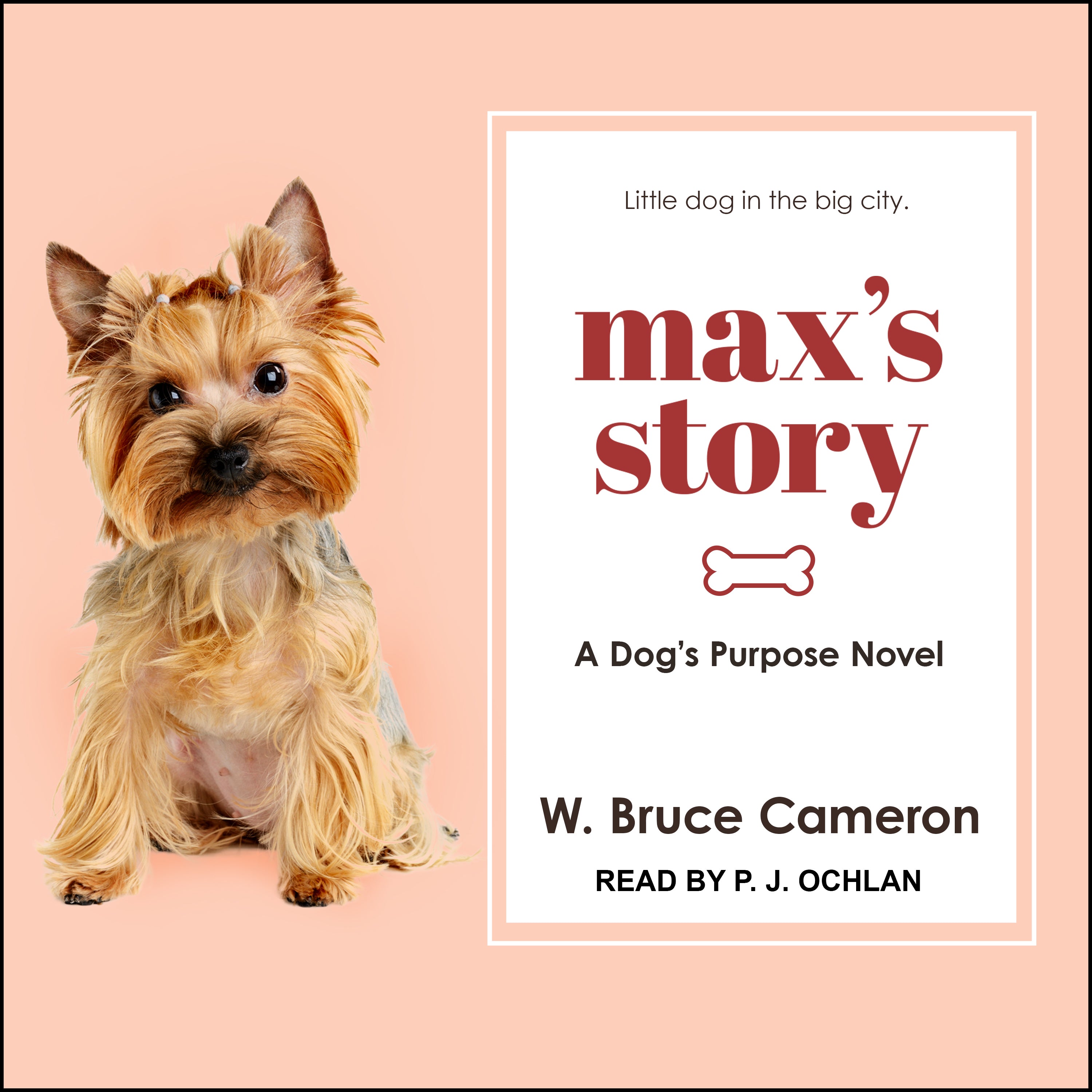 Max’s Story