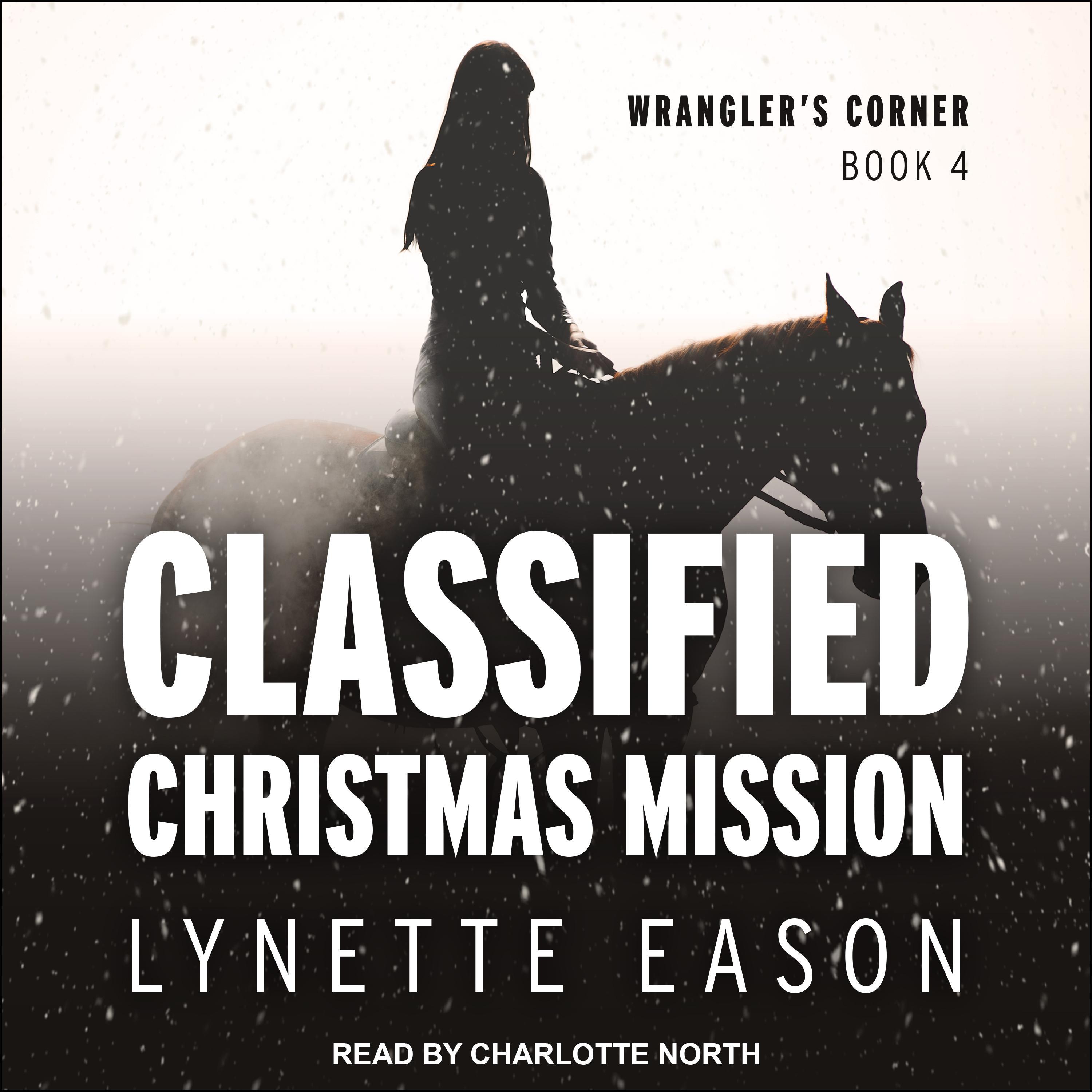 Classified Christmas Mission