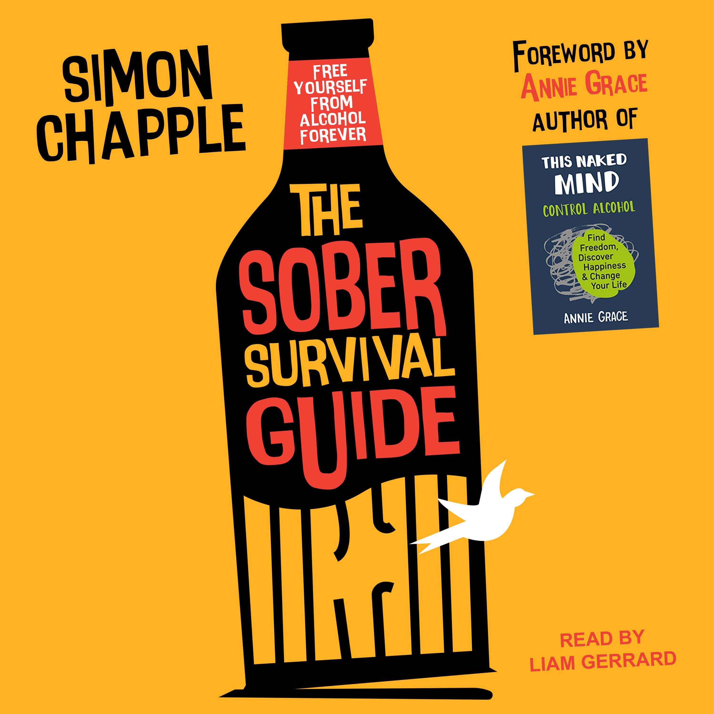 The Sober Survival Guide