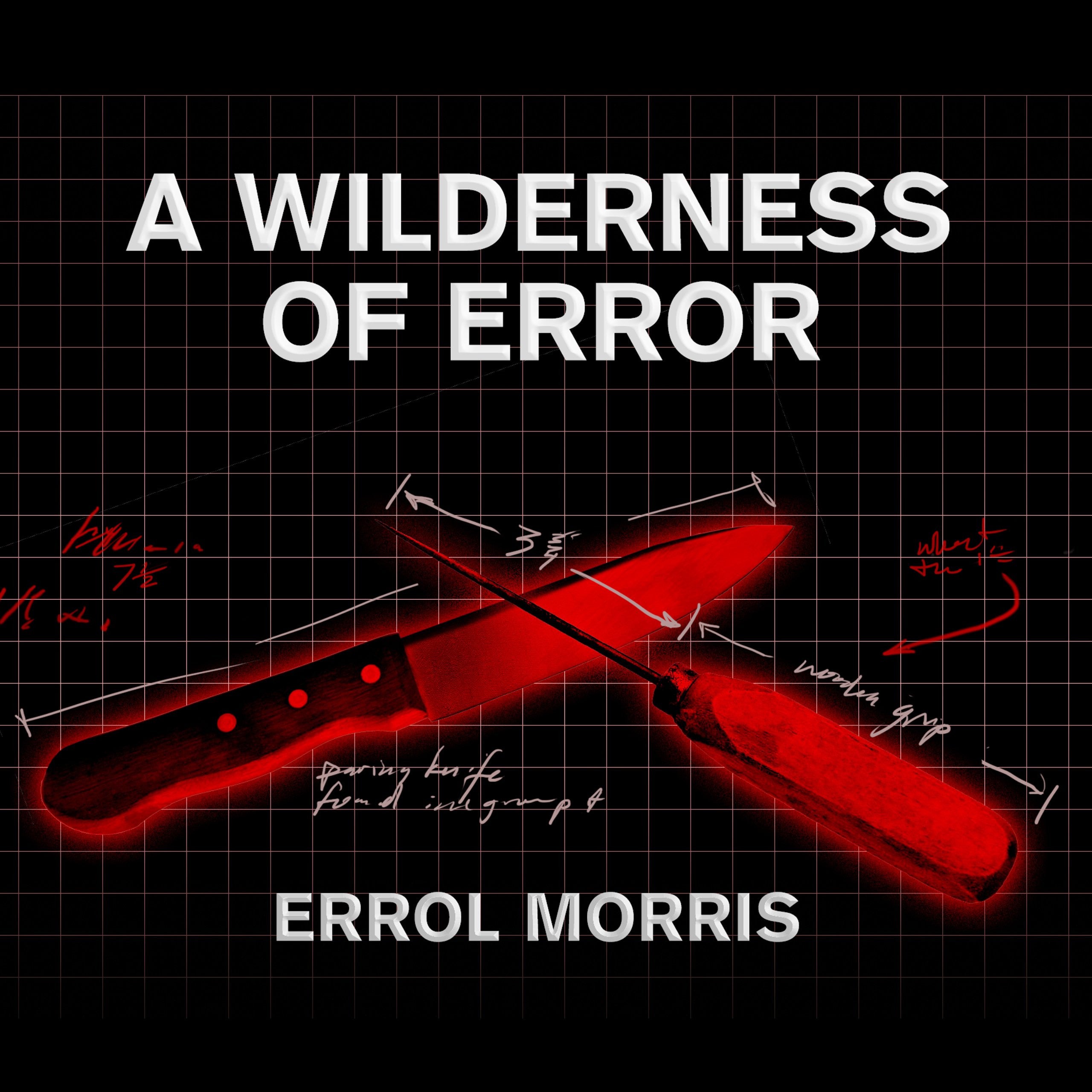 A Wilderness of Error